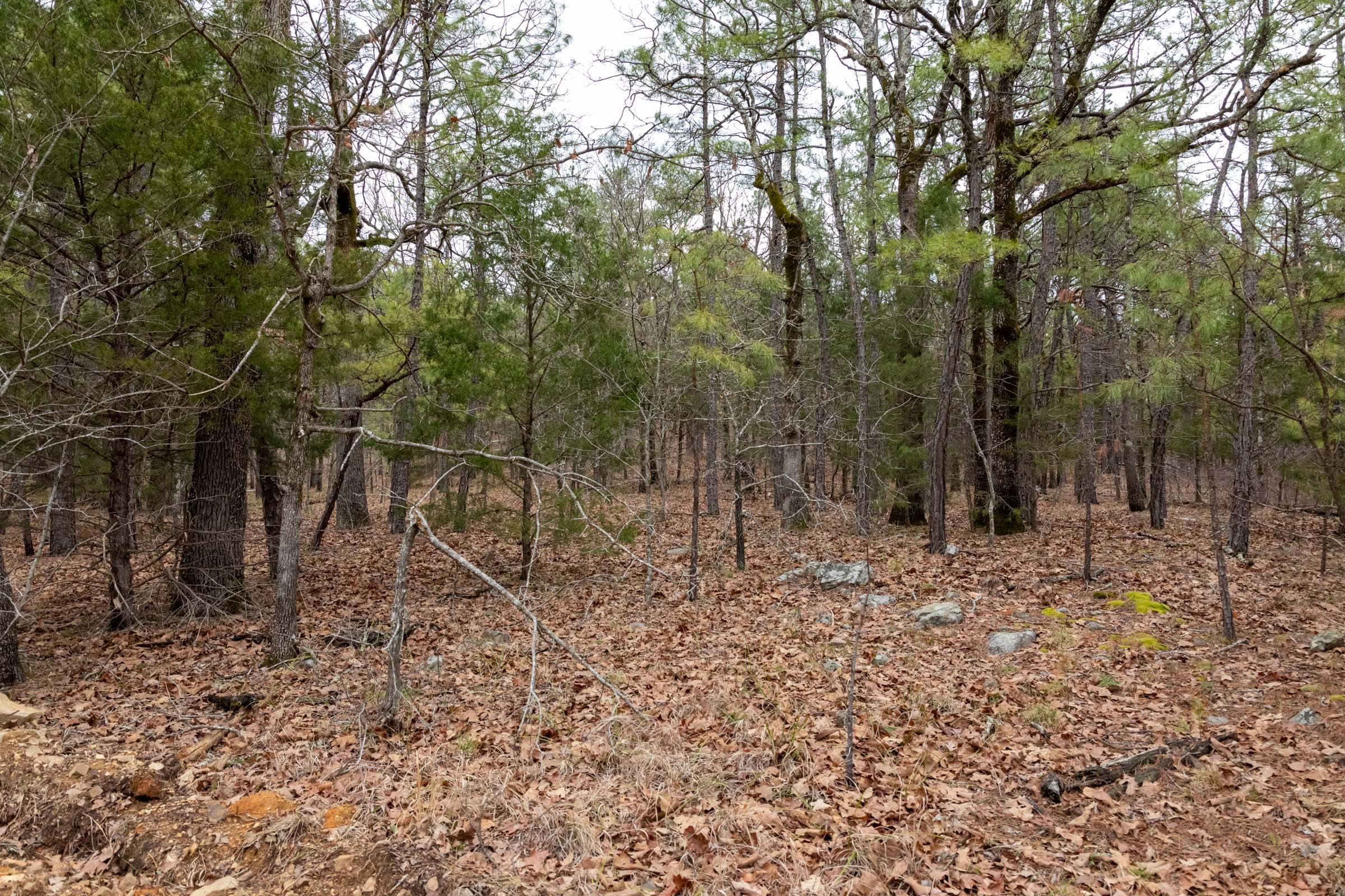 Stone Bridge Phase III Tract 192 photo 15