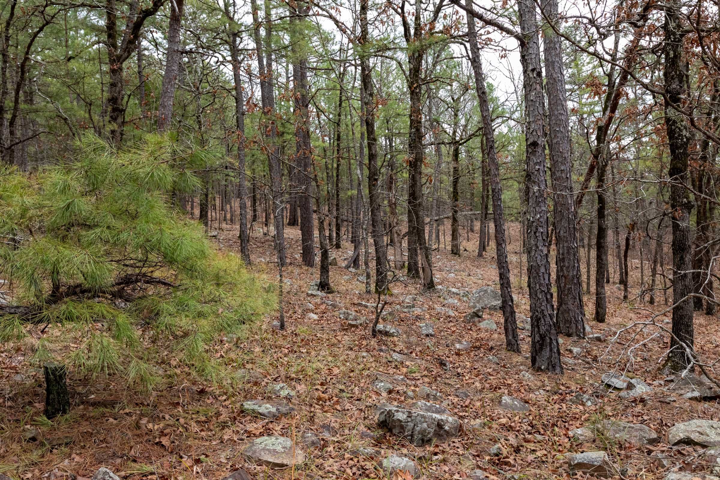 Stone Bridge Phase III Tract 192 photo 16