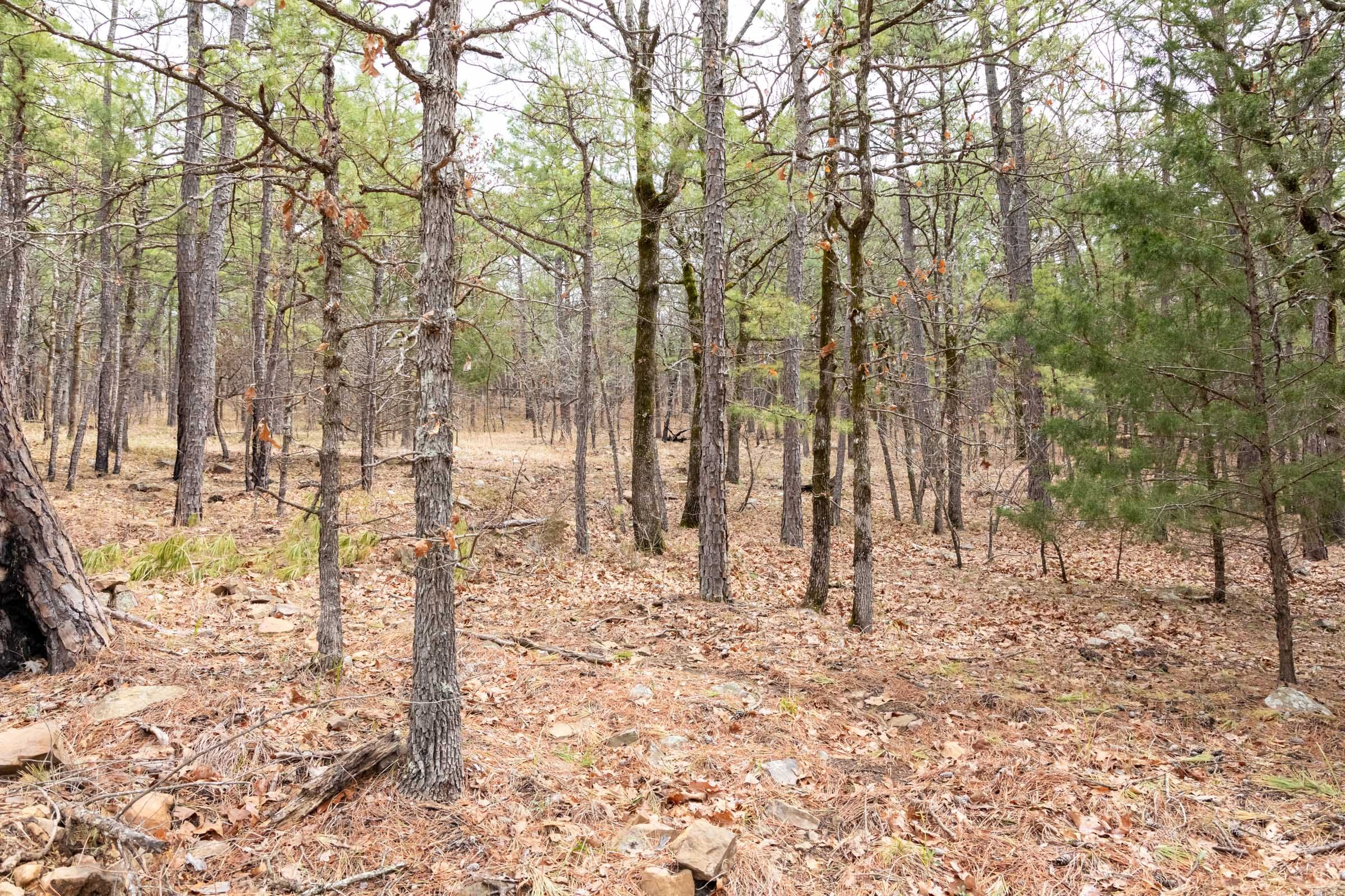 Stone Bridge Phase III Tract 192 photo 17