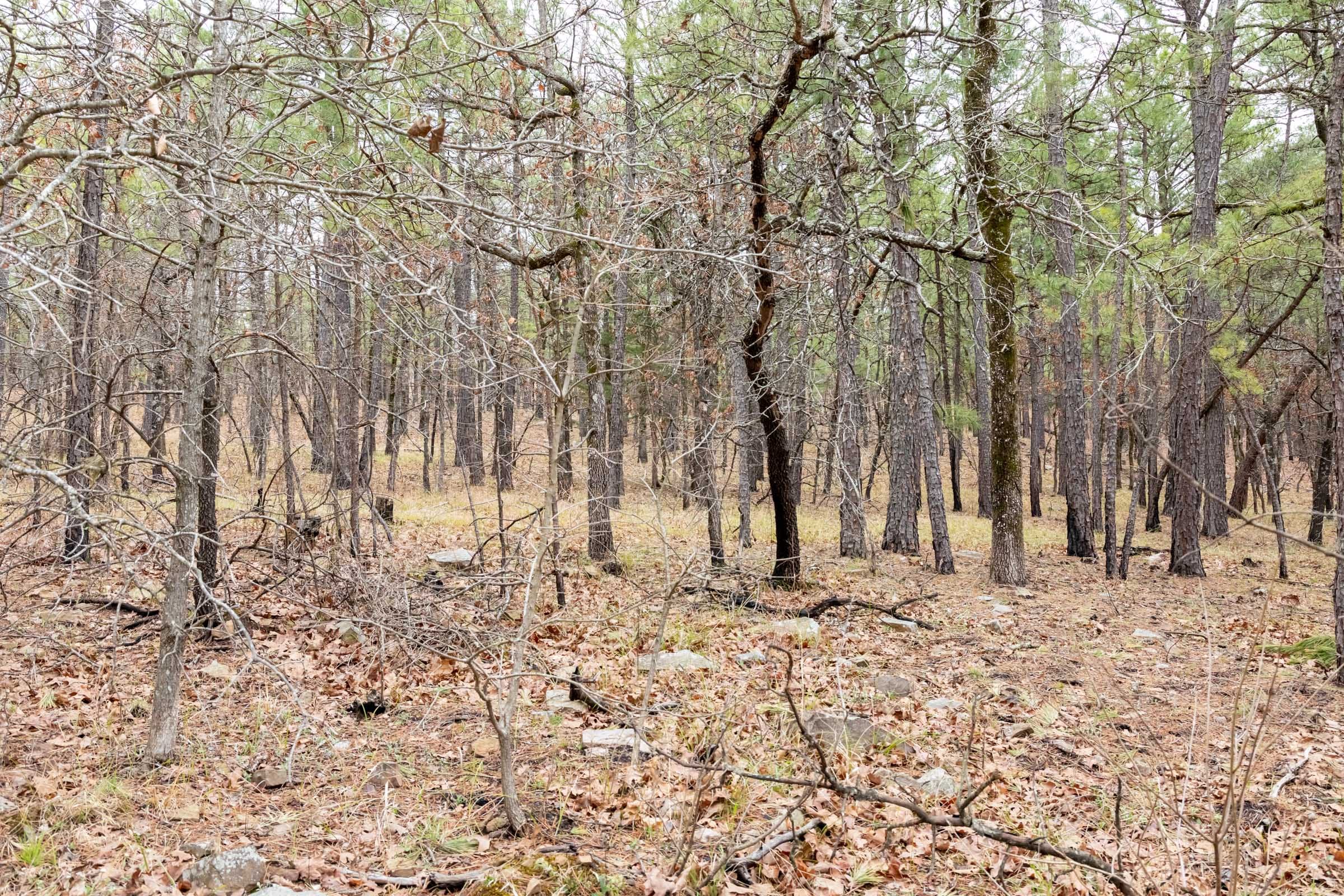 Stone Bridge Phase III Tract 192 photo 18