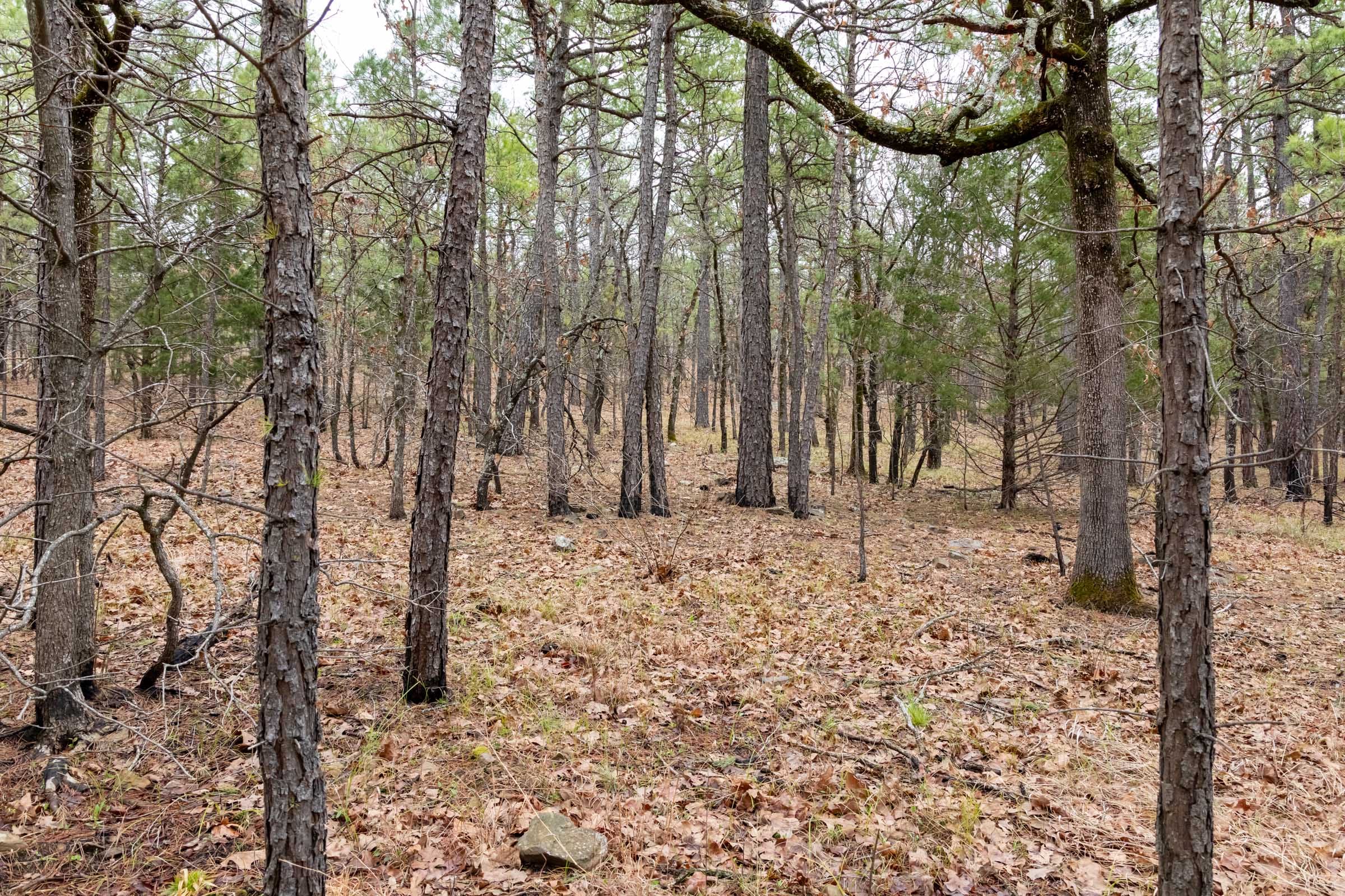 Stone Bridge Phase III Tract 192 photo 19