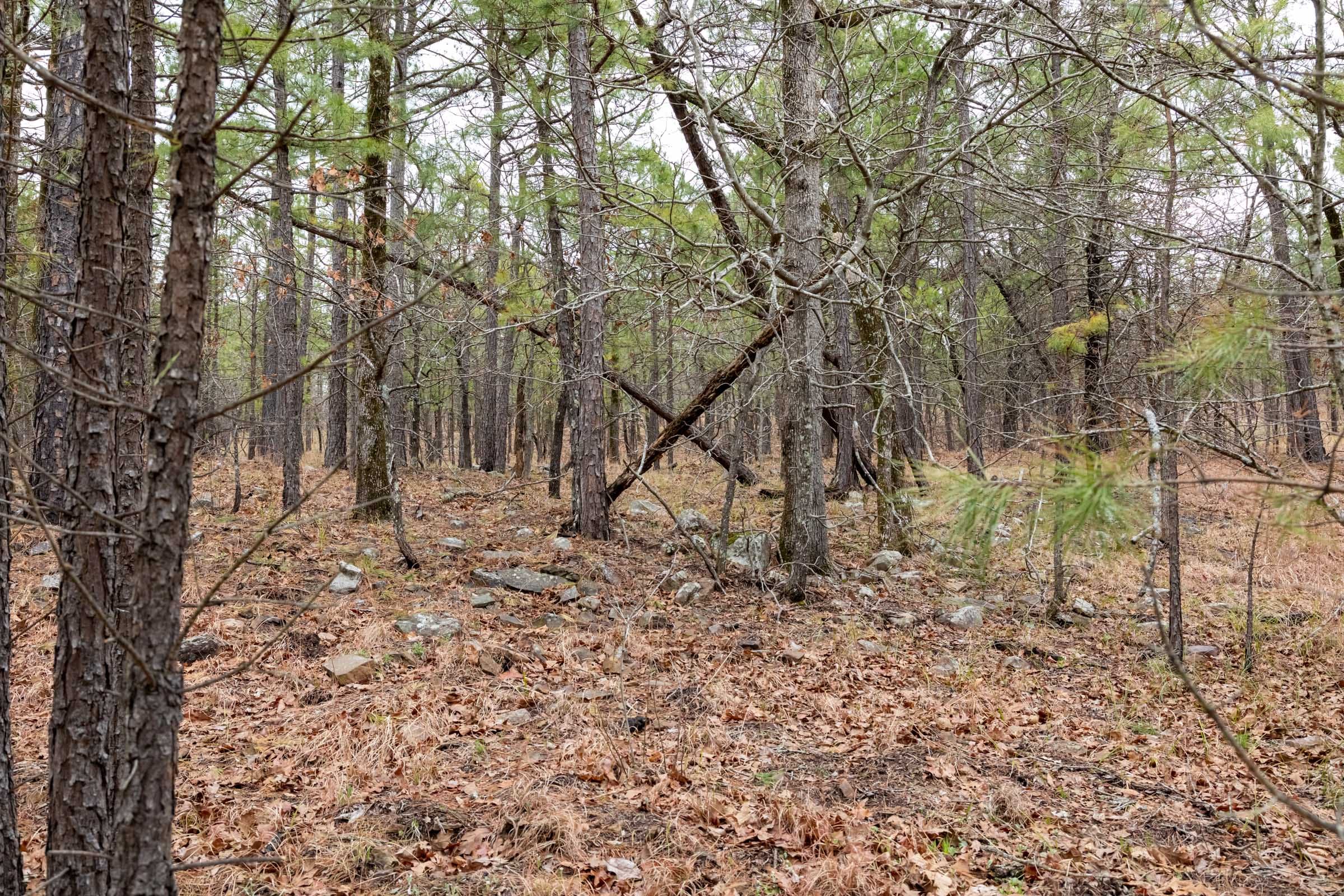 Stone Bridge Phase III Tract 192 photo 20