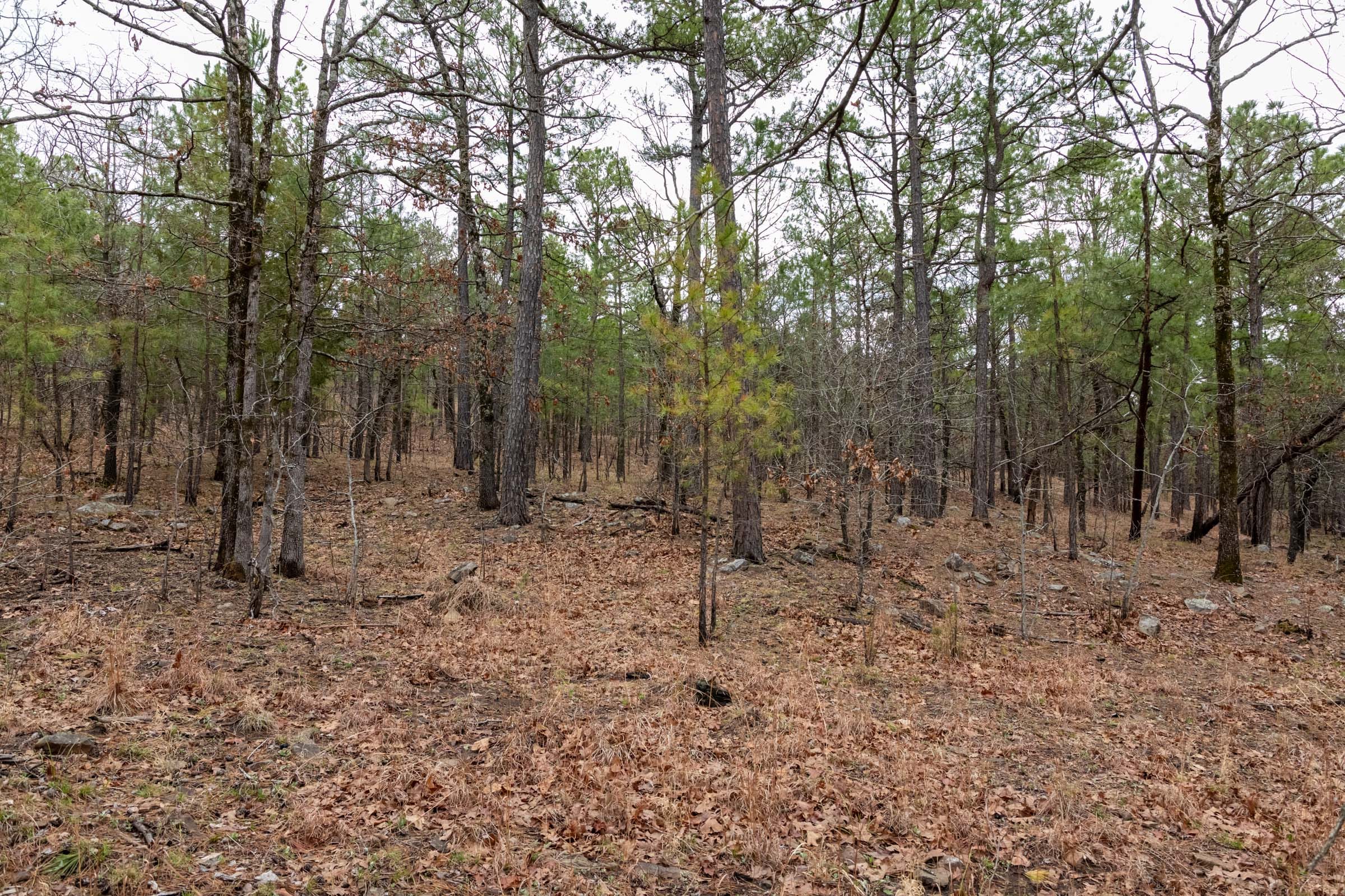 Stone Bridge Phase III Tract 192 photo 21