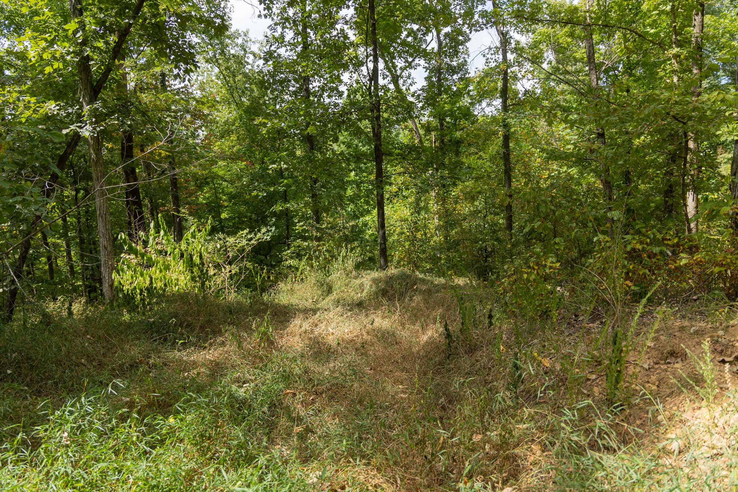 Big White Oak Tract 120 photo 16