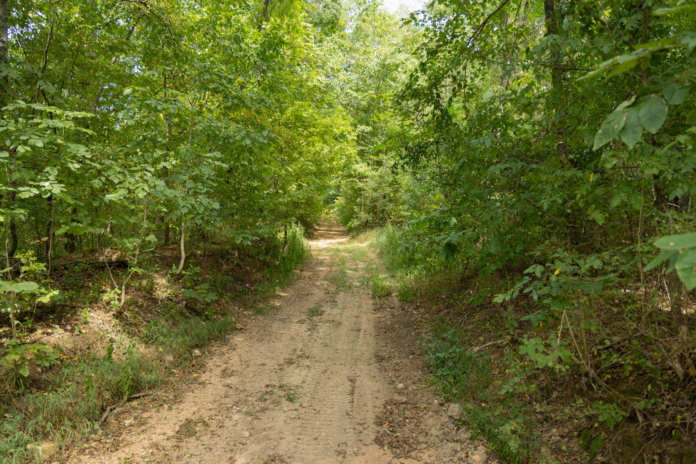 Big White Oak Tract 120 photo 1