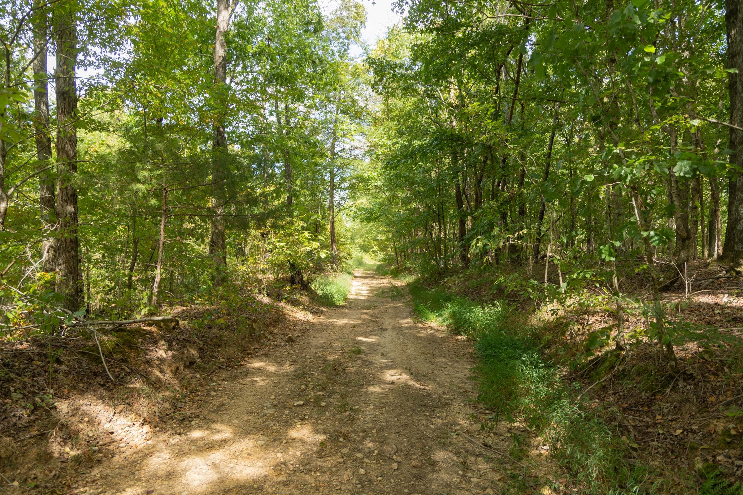 Big White Oak Tract 120 photo 14