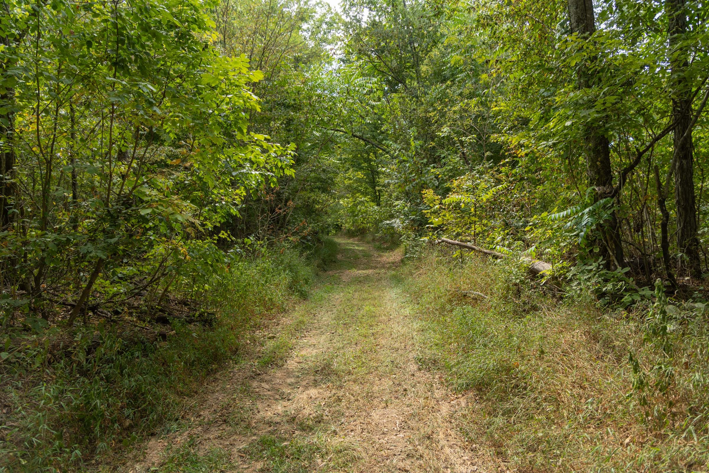 Big White Oak Tract 120 photo 9