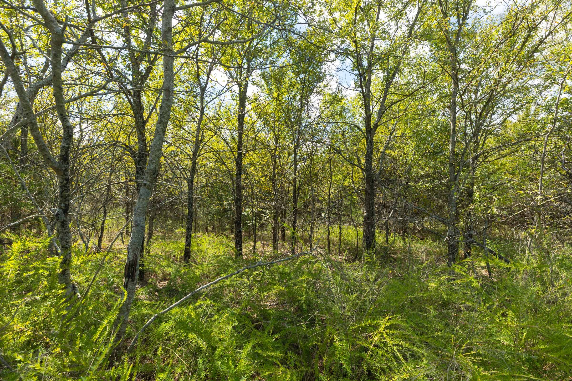Reserves At Cattail Cove Phase II Tract 99 photo 12