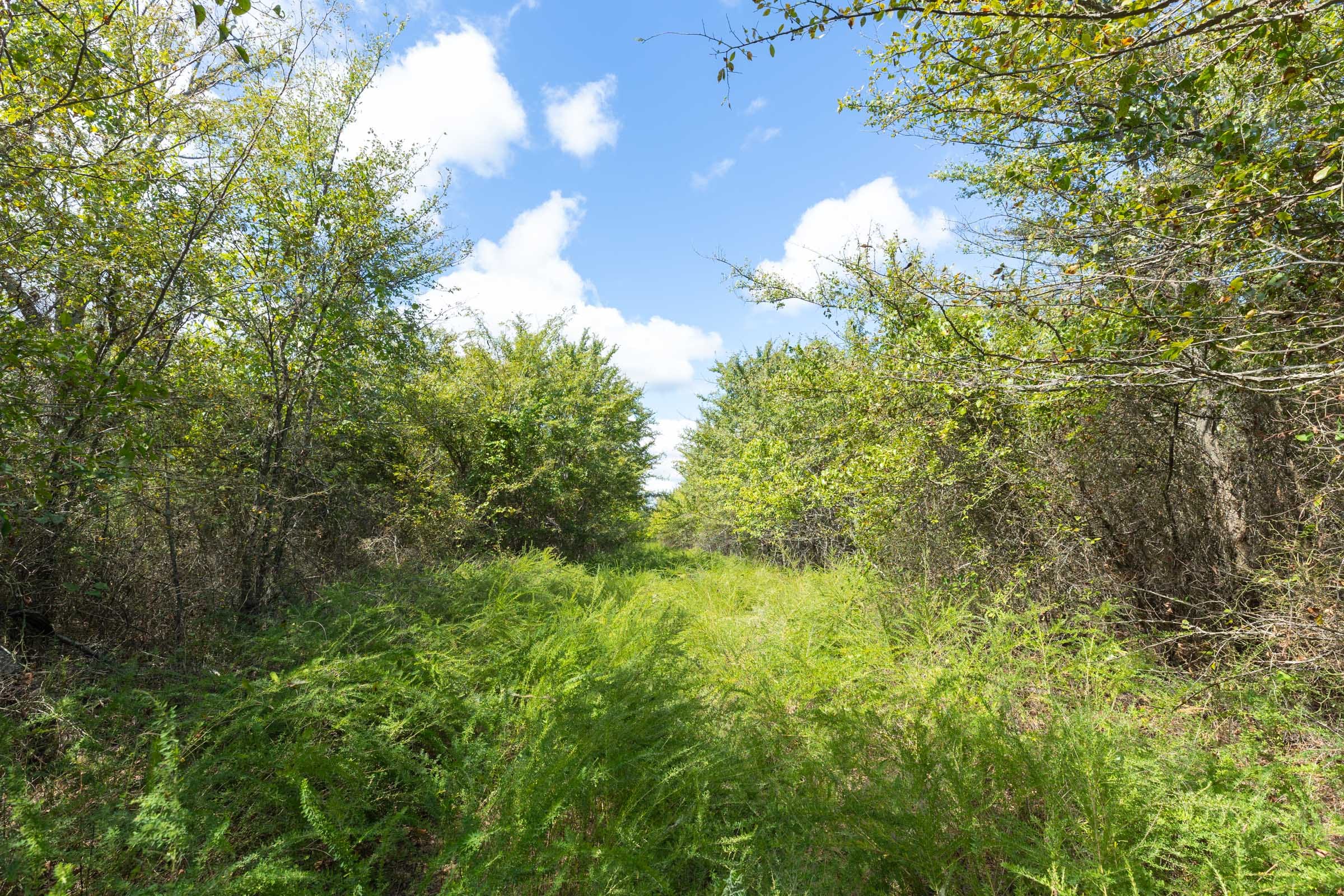 Reserves At Cattail Cove Phase II Tract 99 photo 10