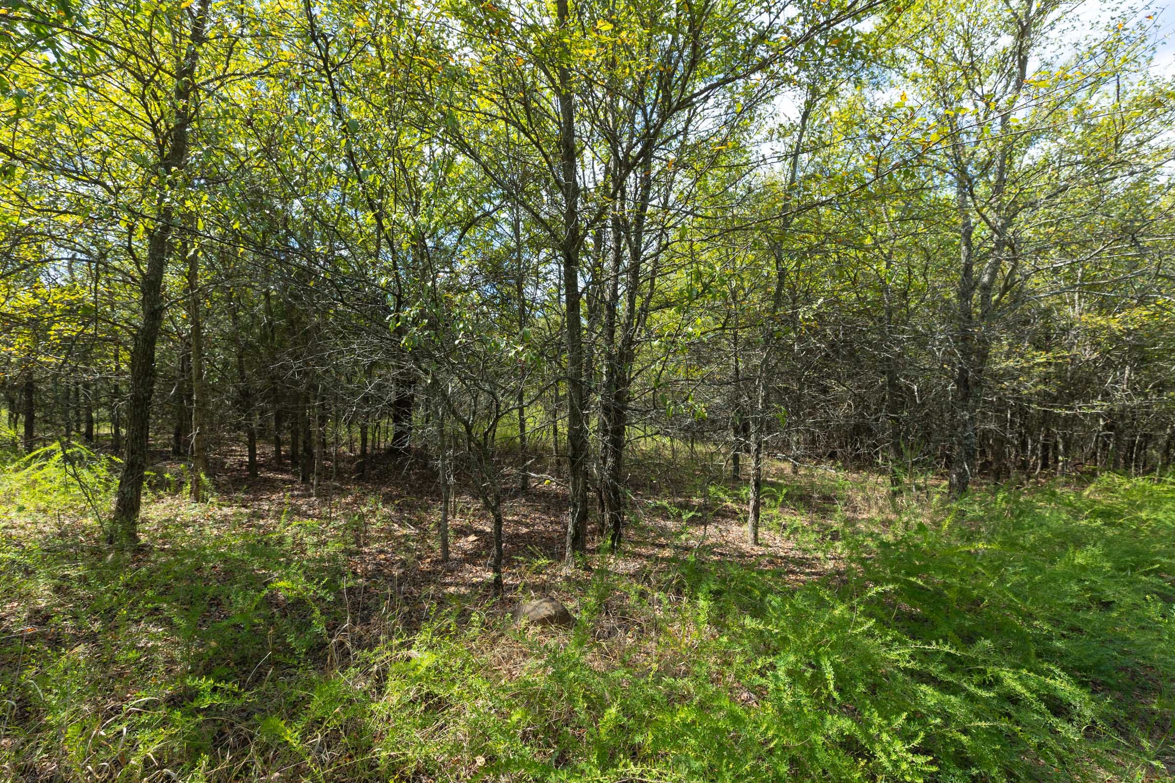 Reserves At Cattail Cove Phase II Tract 99 photo 8