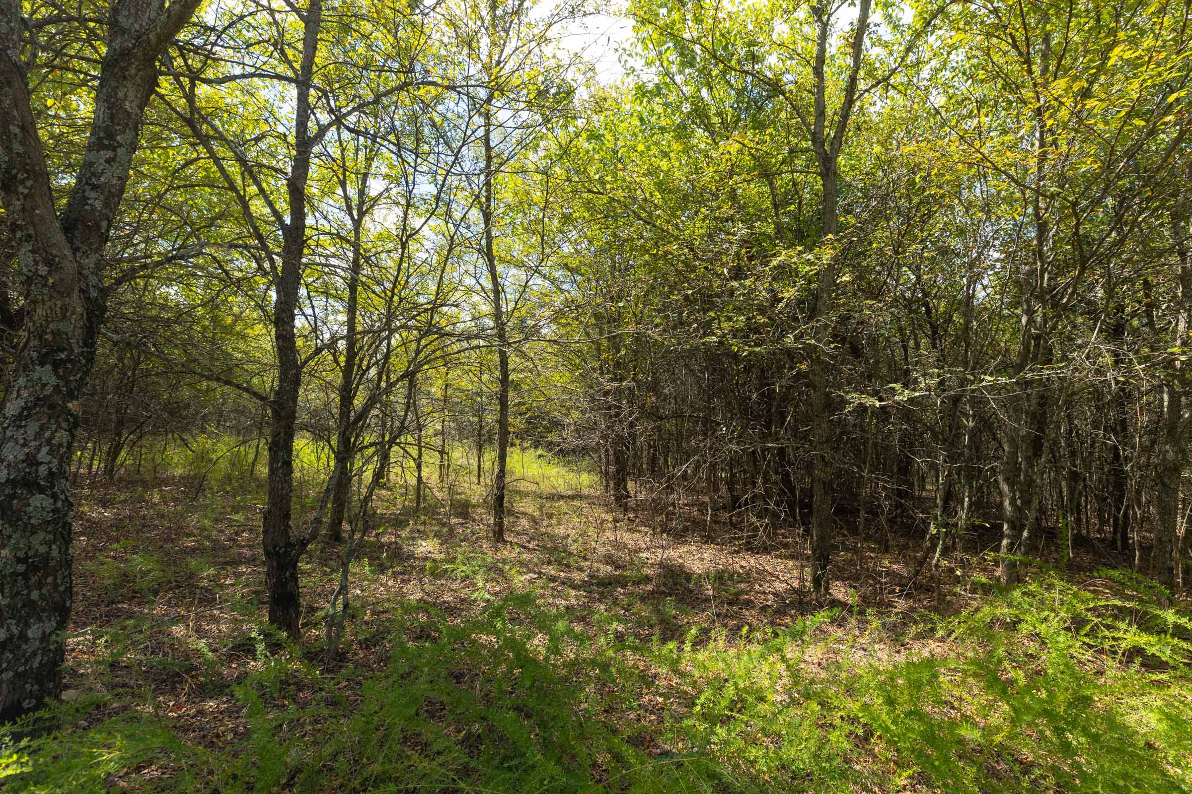 Reserves At Cattail Cove Phase II Tract 99 photo 7