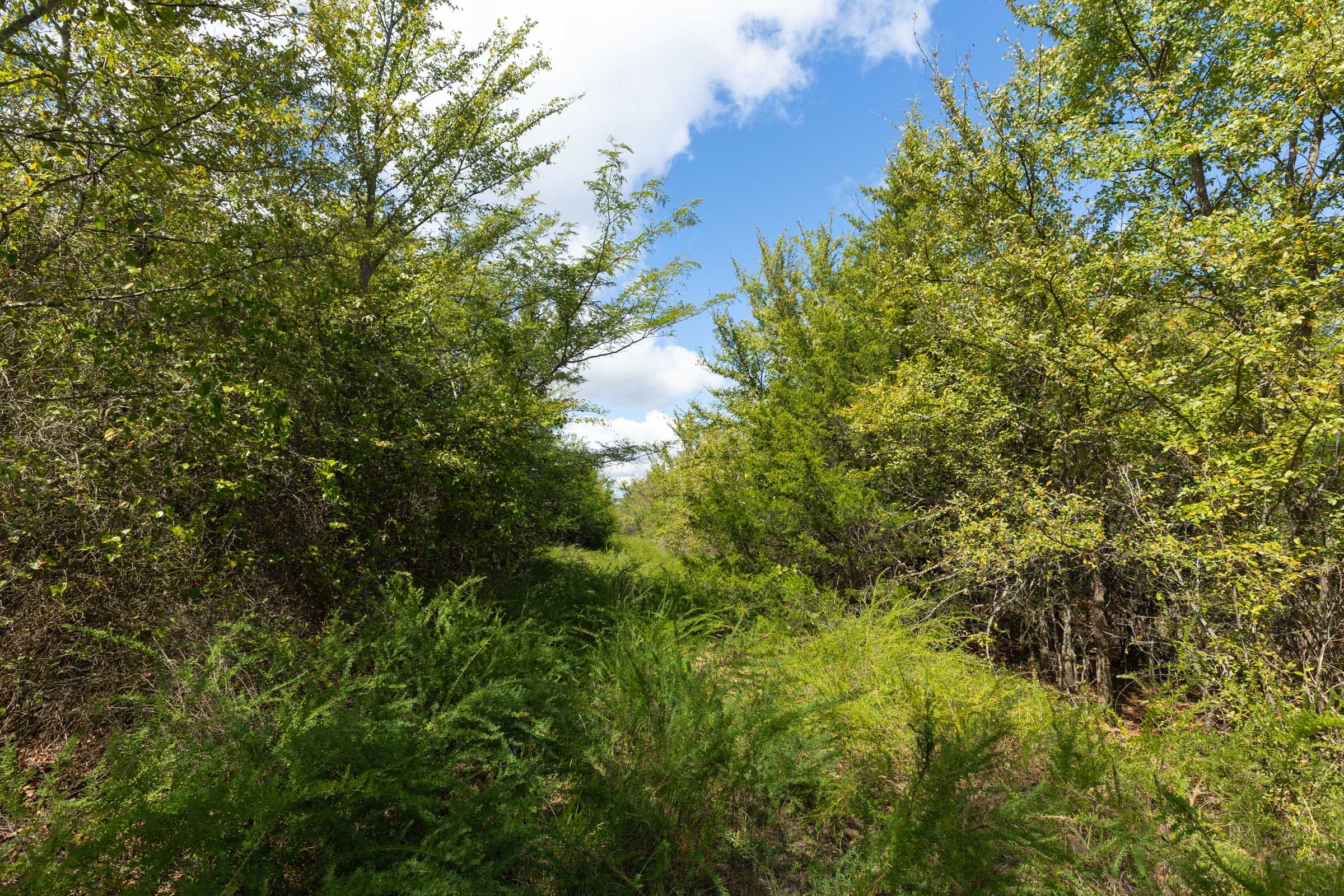 Reserves At Cattail Cove Phase II Tract 99 photo 5