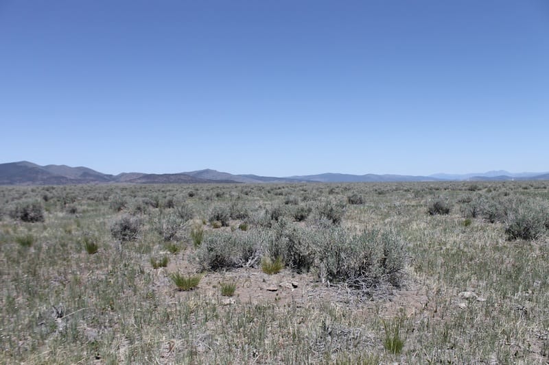 Moon Valley Ranch Tract 141 photo 7