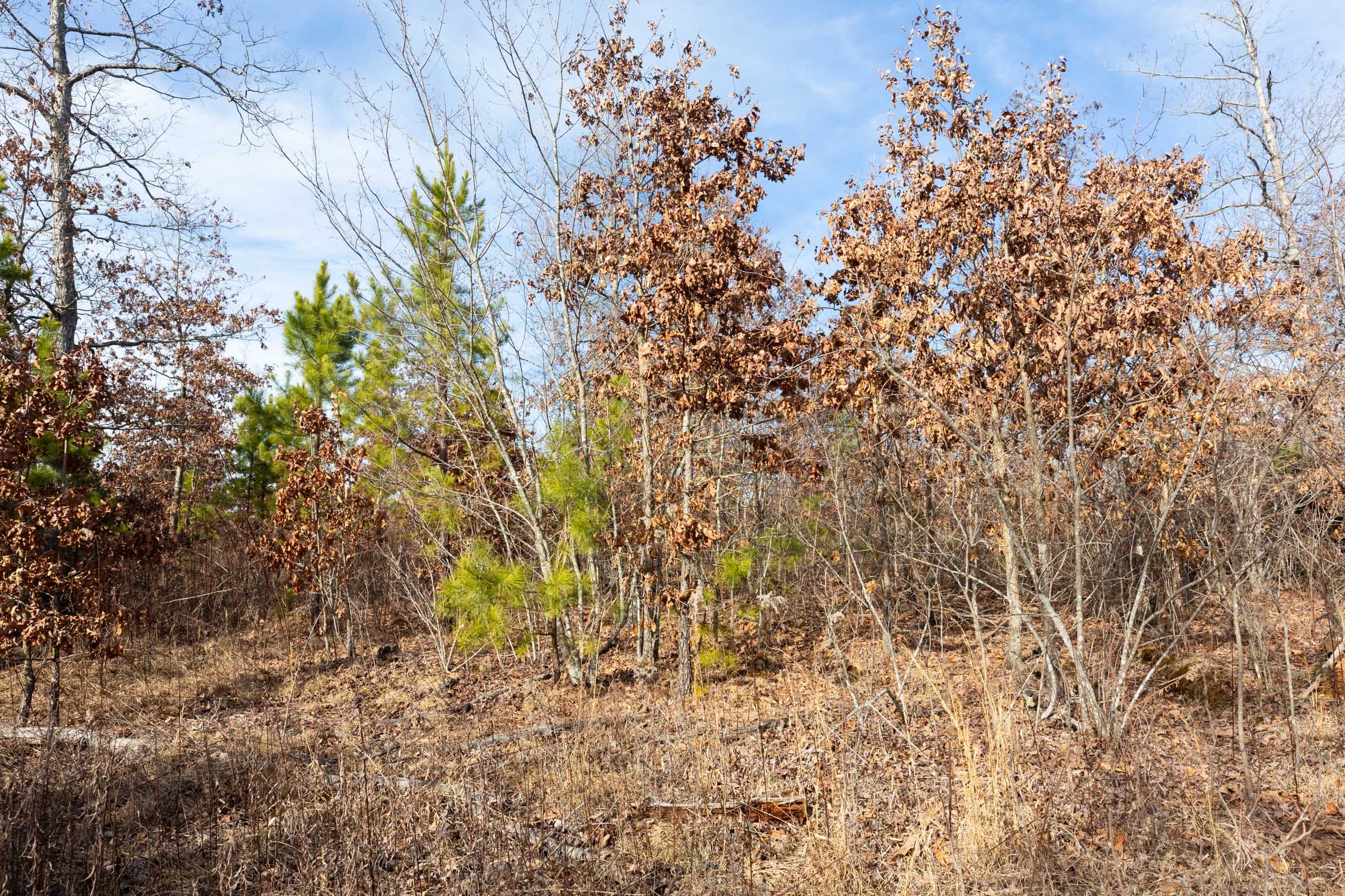 Windy Ridge Tract 1 photo 3