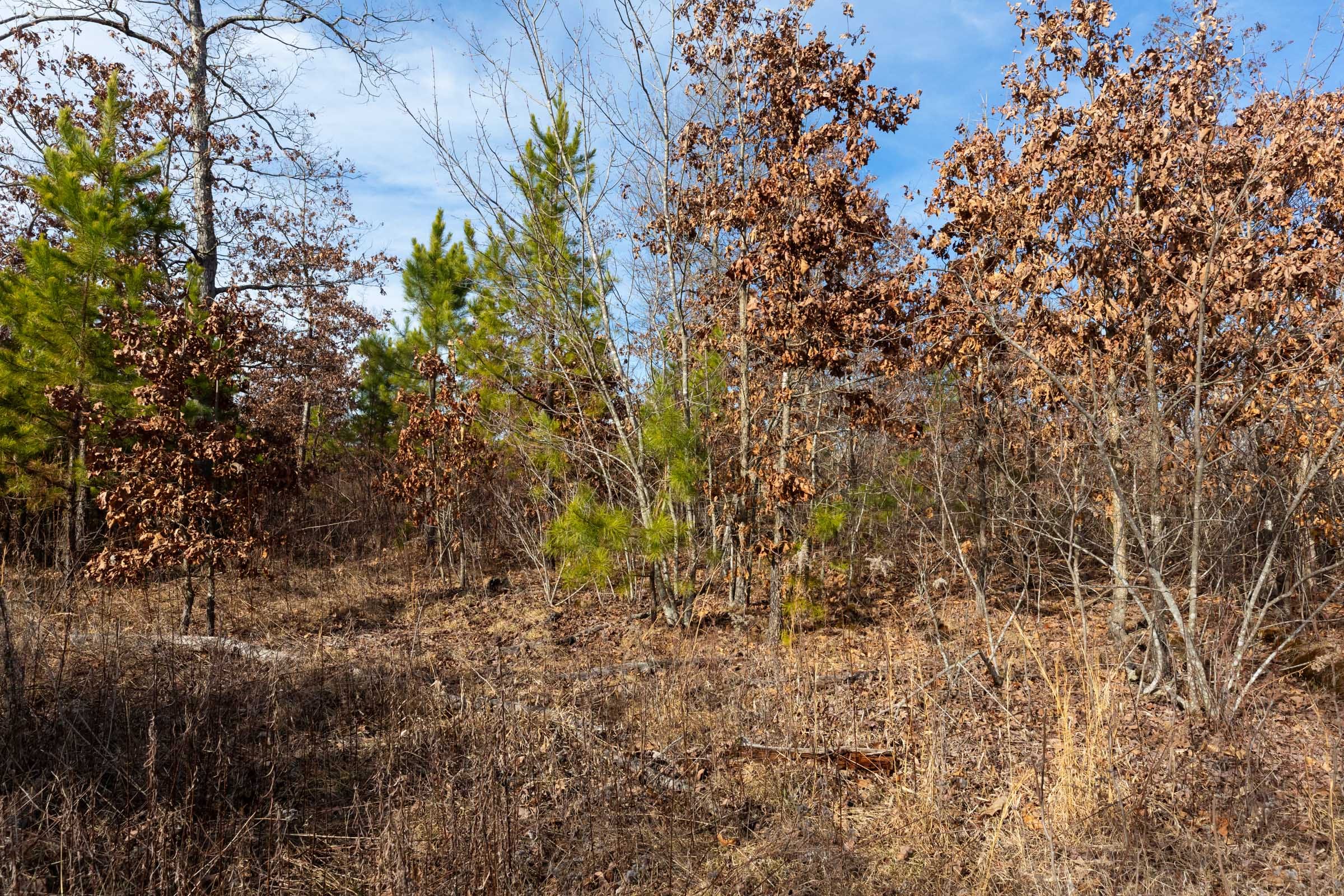 Windy Ridge Tract 1 photo 6