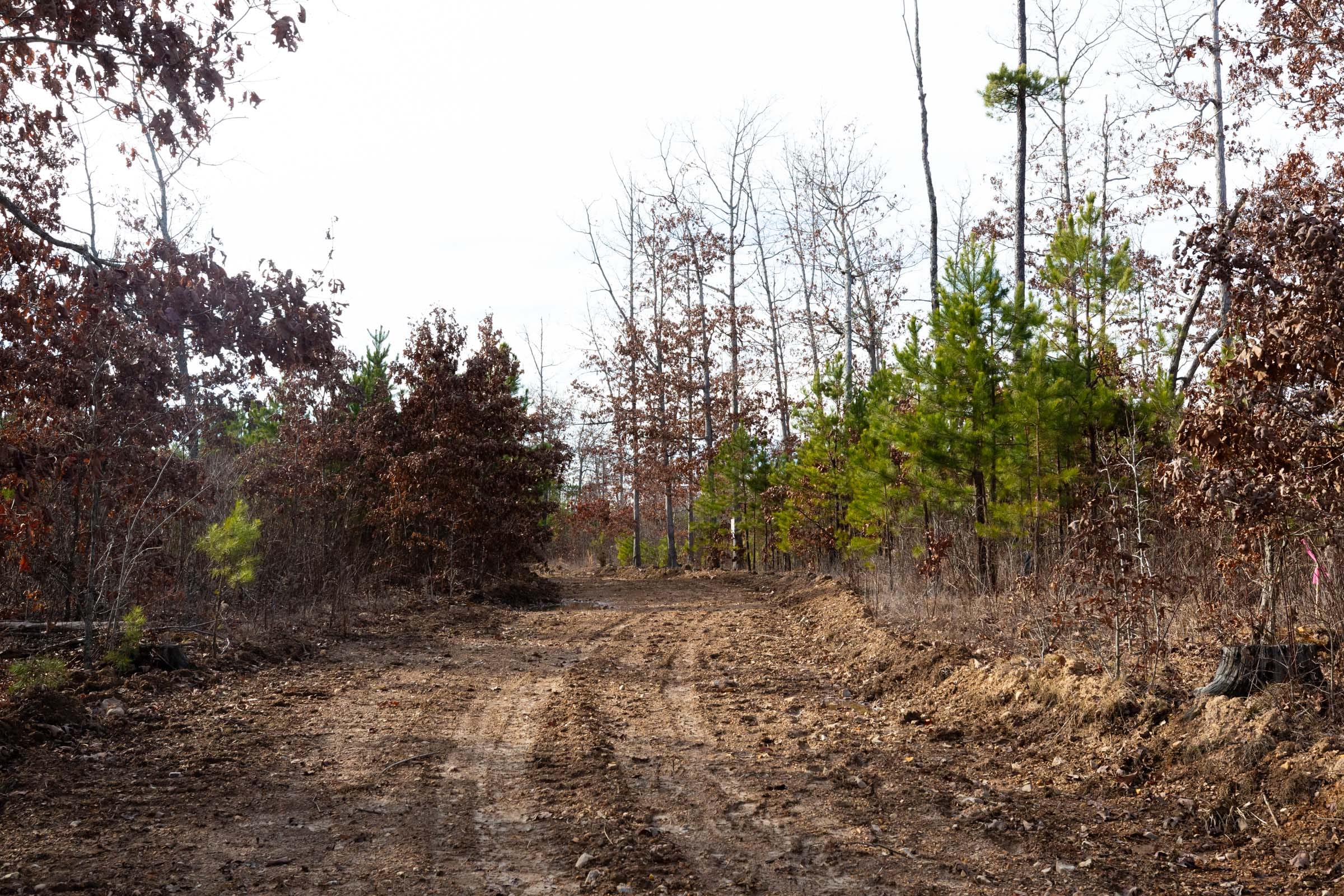 Windy Ridge Tract 1 photo 5