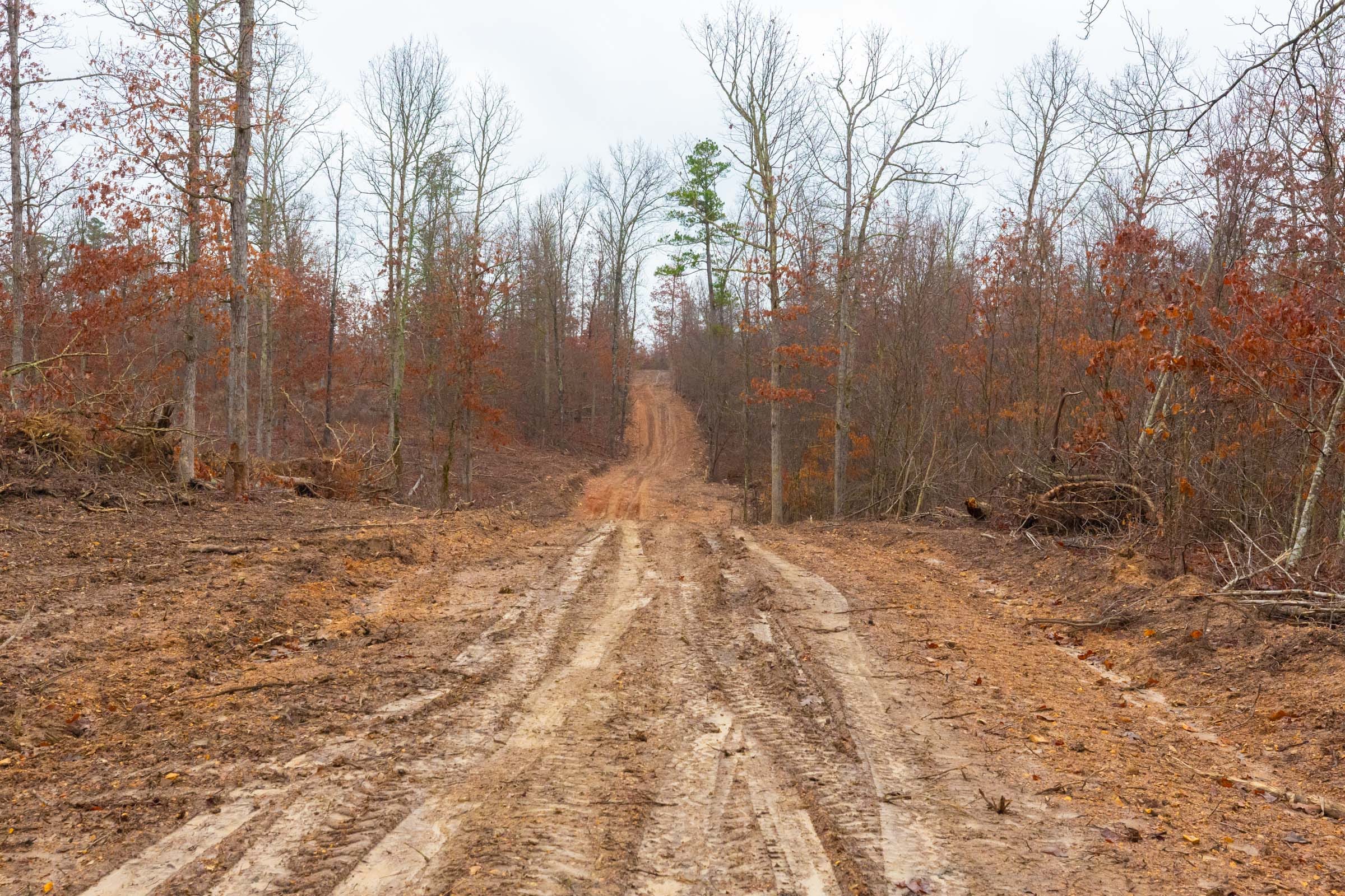 Windy Ridge Tract 1 photo 1