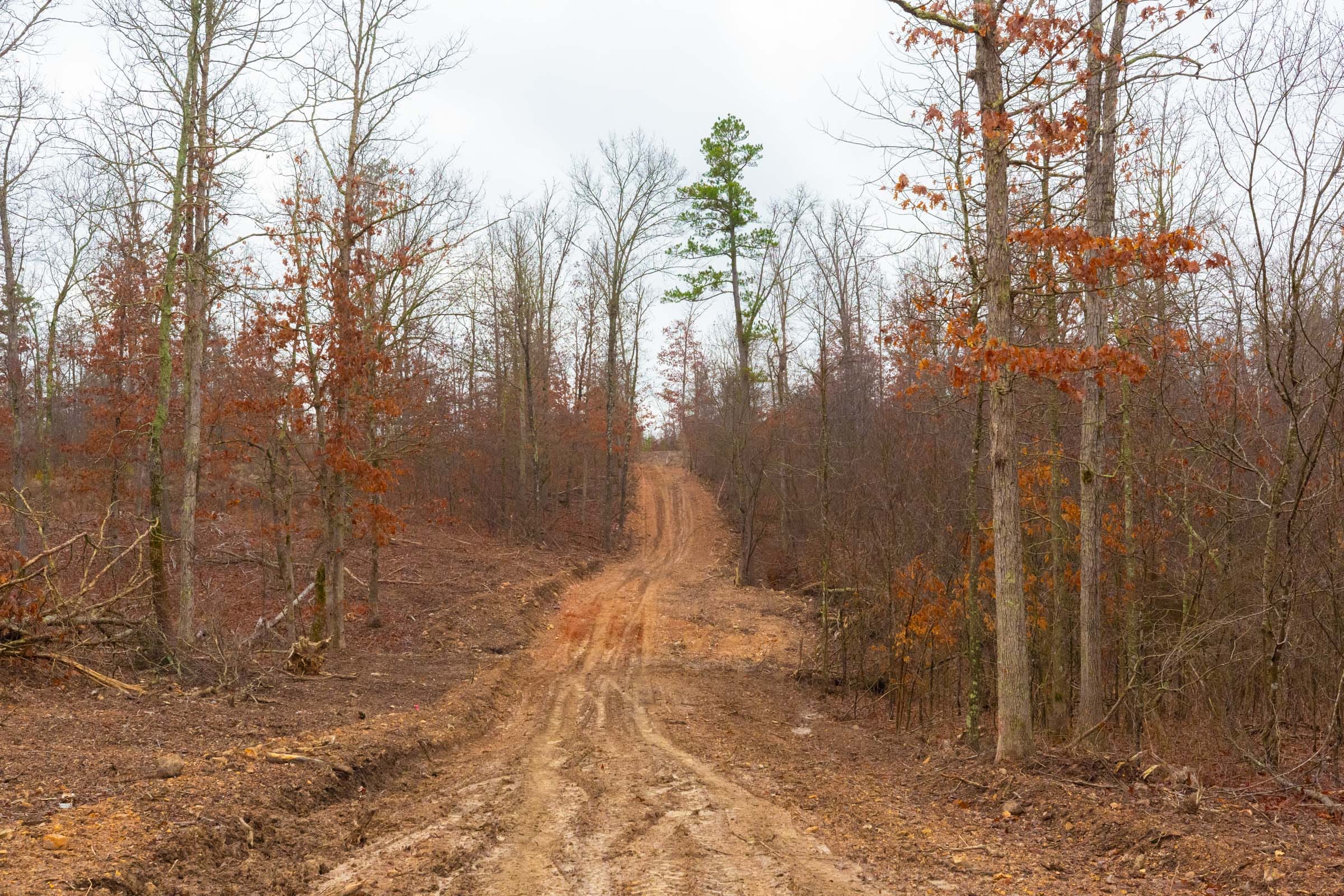 Windy Ridge Tract 1 photo 10