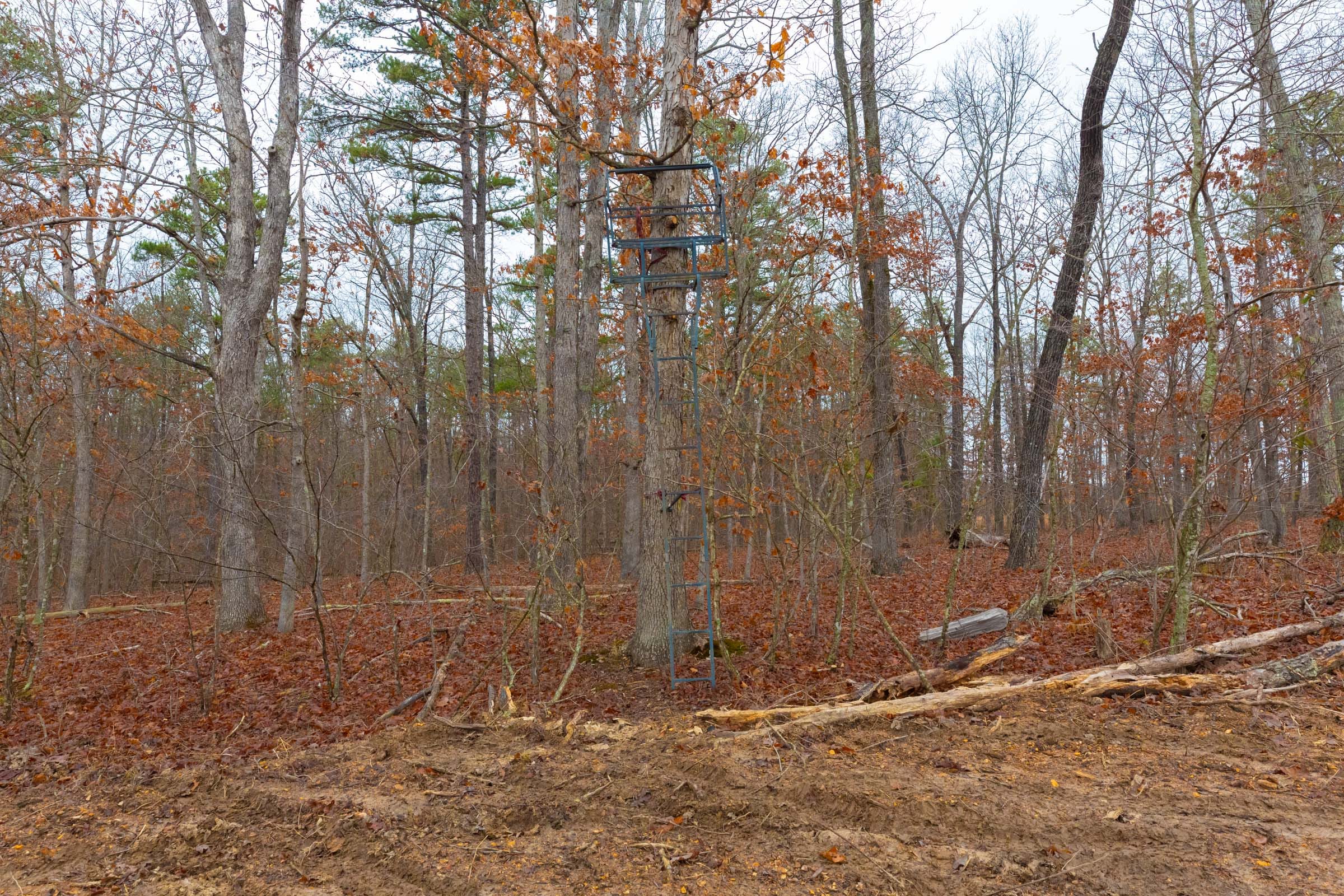 Windy Ridge Tract 1 photo 14