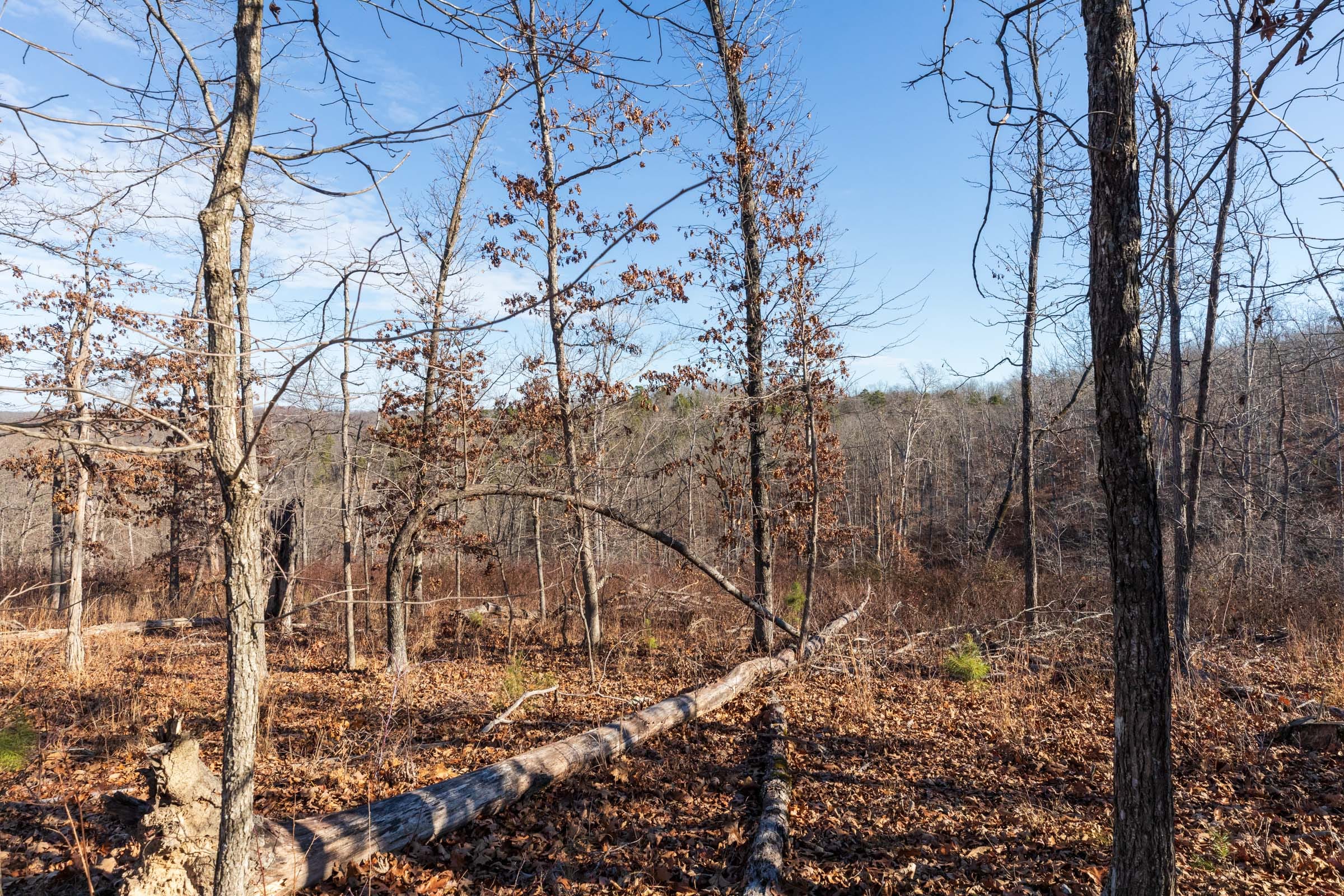 Cypress Ridge Tract 35 photo 9