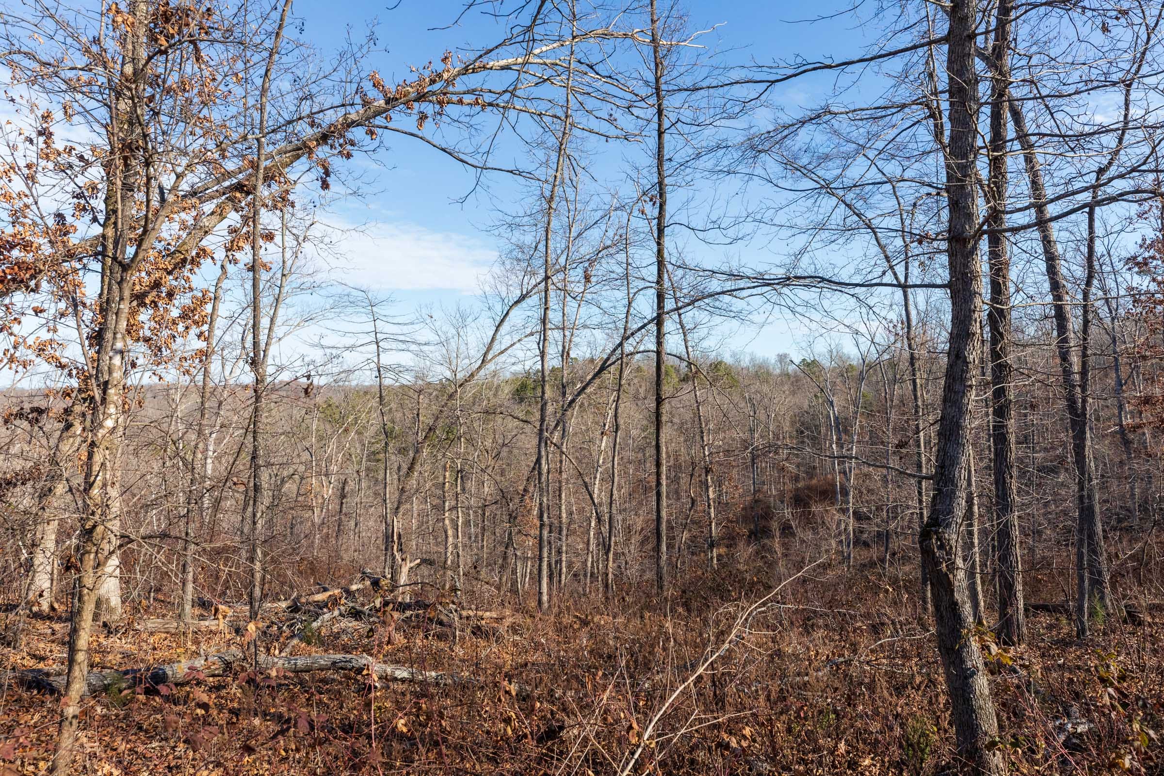 Cypress Ridge Tract 35 photo 6
