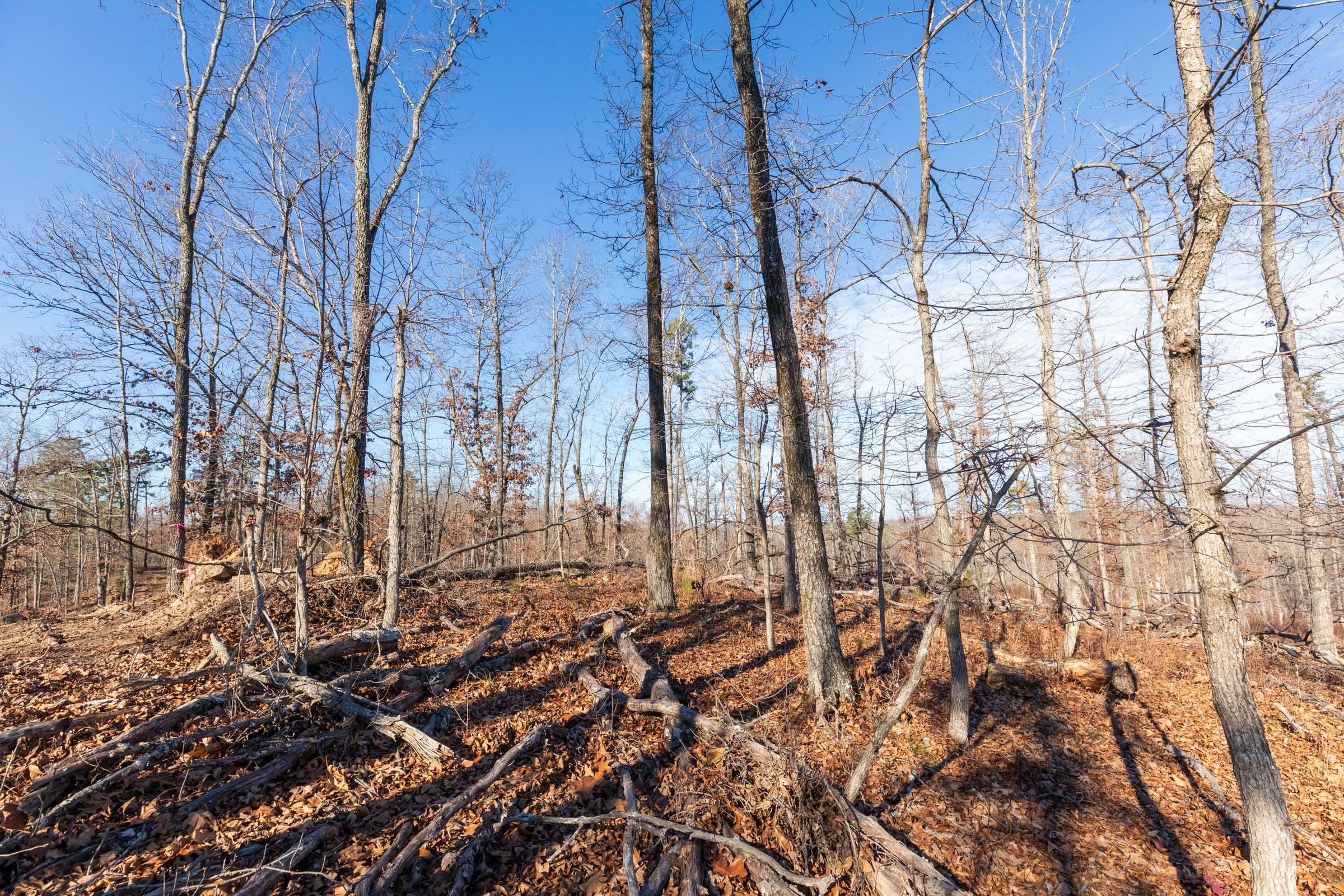 Cypress Ridge Tract 35 photo 4