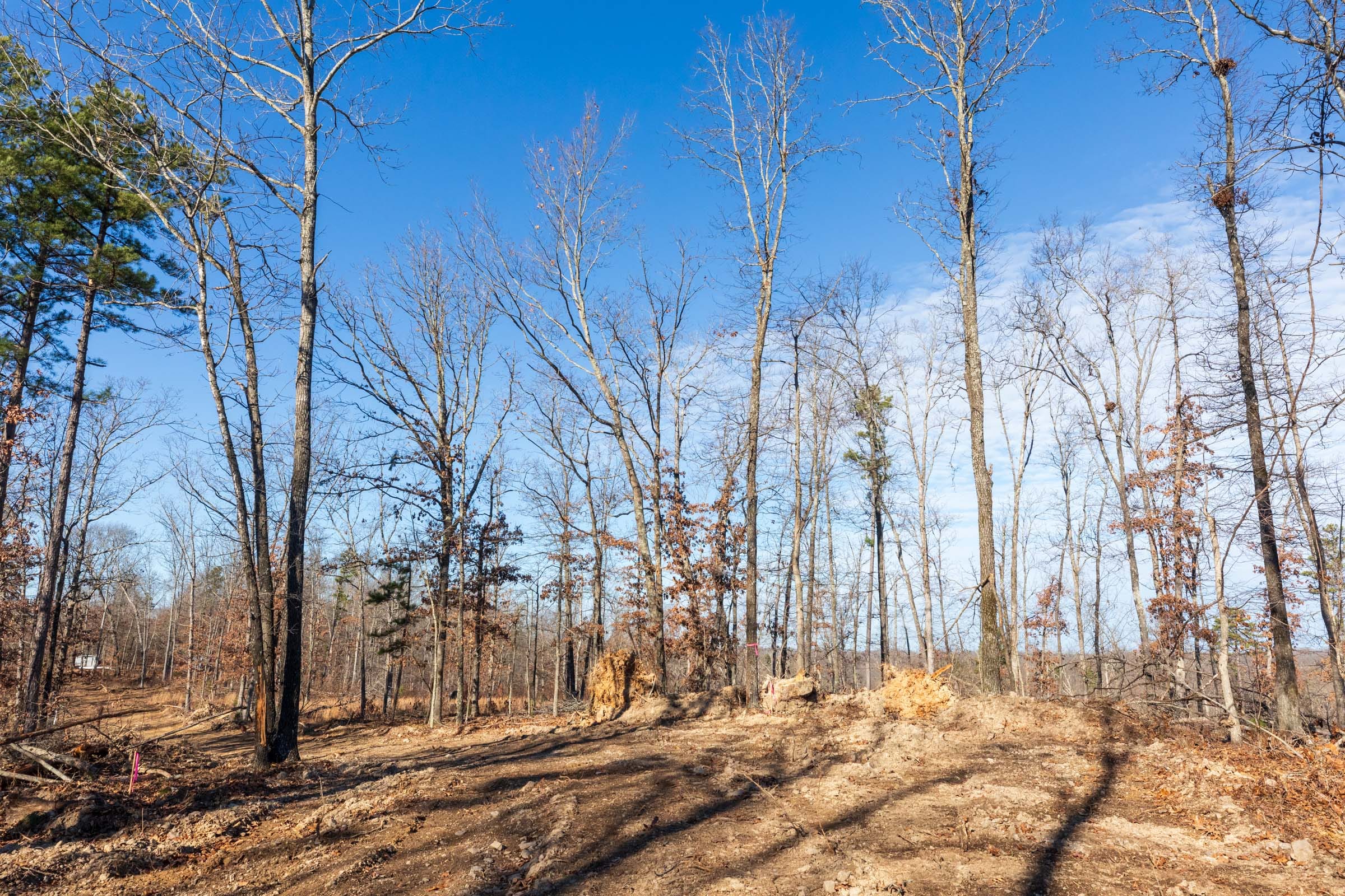 Cypress Ridge Tract 35 photo 1