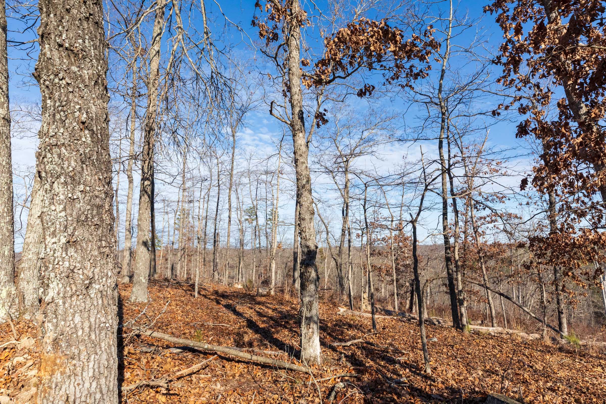 Cypress Ridge Tract 35 photo 2