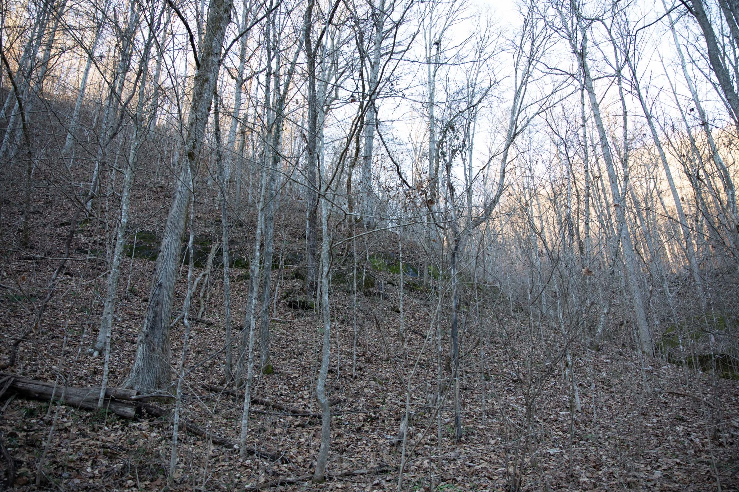 Blackstone Mountain Phase I Tract 6 photo 6