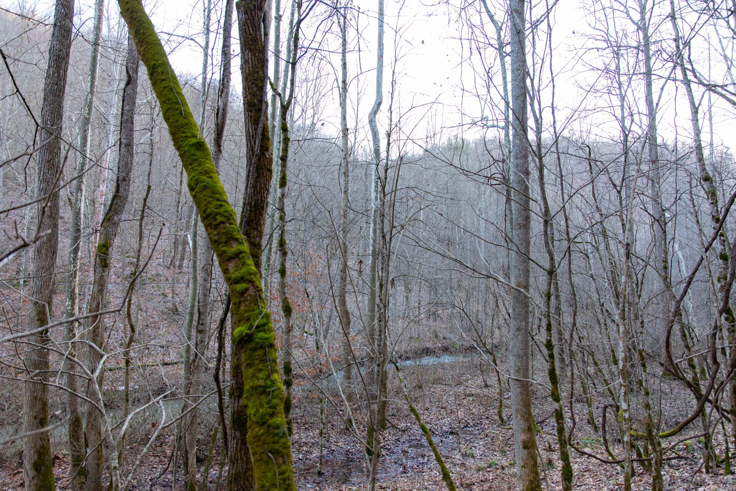Blackstone Mountain Phase I Tract 6 photo 7
