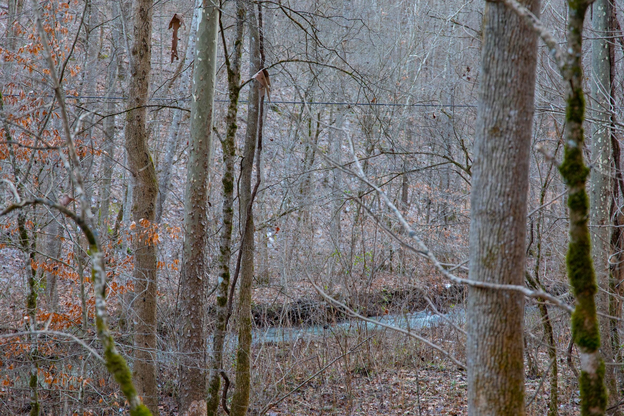 Blackstone Mountain Phase I Tract 6 photo 10