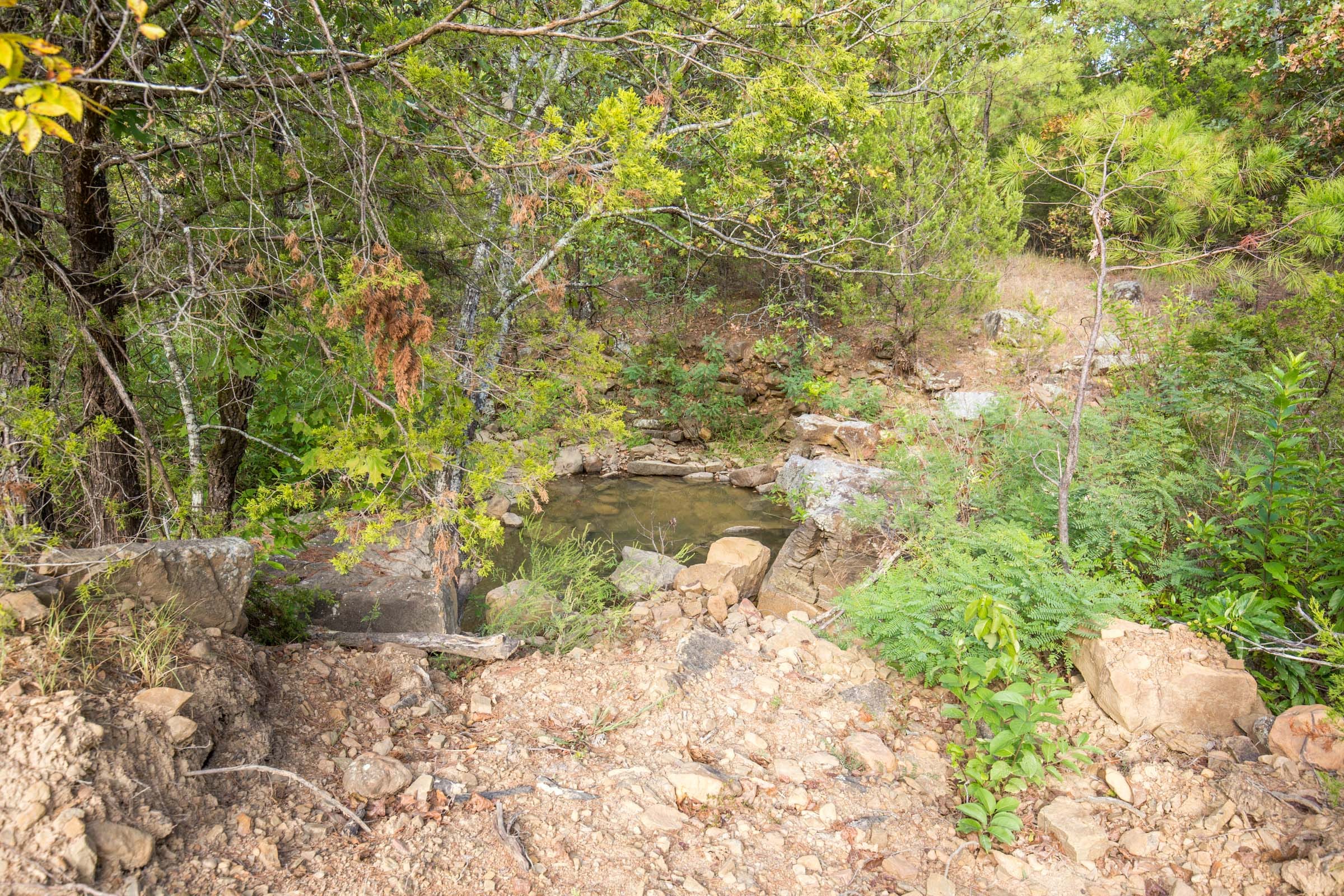Stone Bridge Phase I Tract 63 photo 4