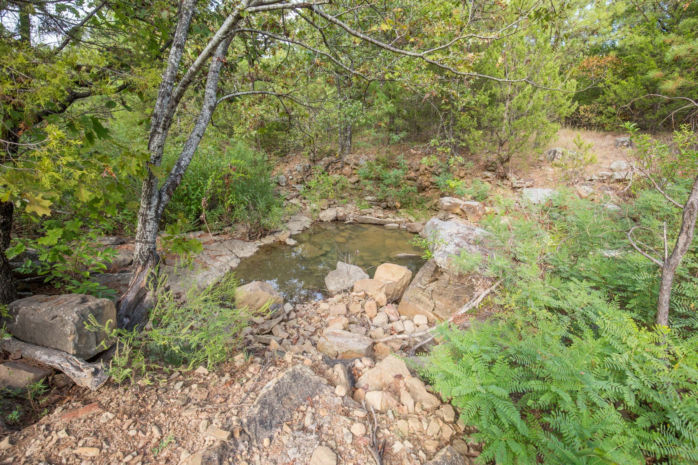 Stone Bridge Phase I Tract 63 photo 5
