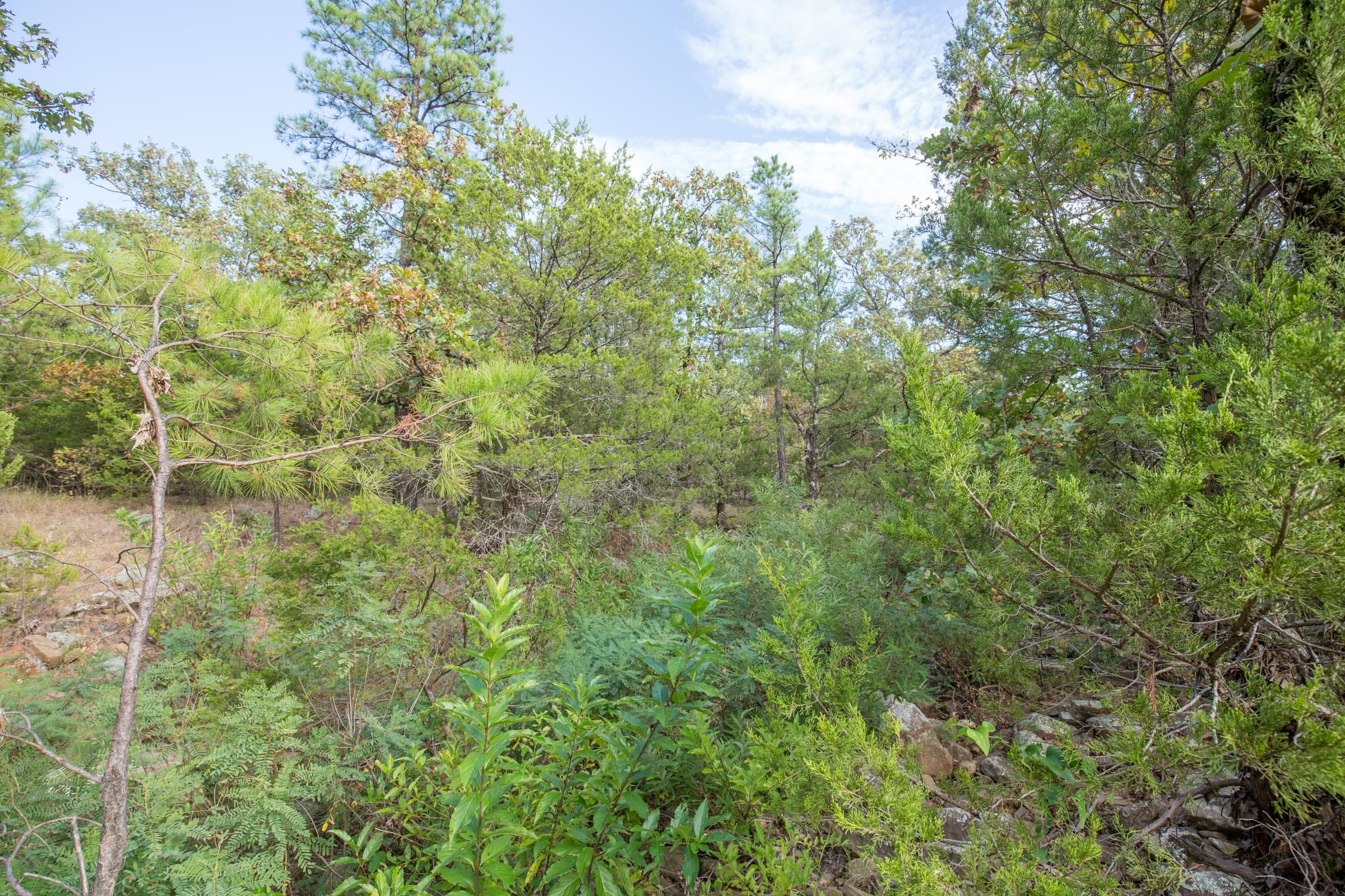 Stone Bridge Phase I Tract 63 photo 6