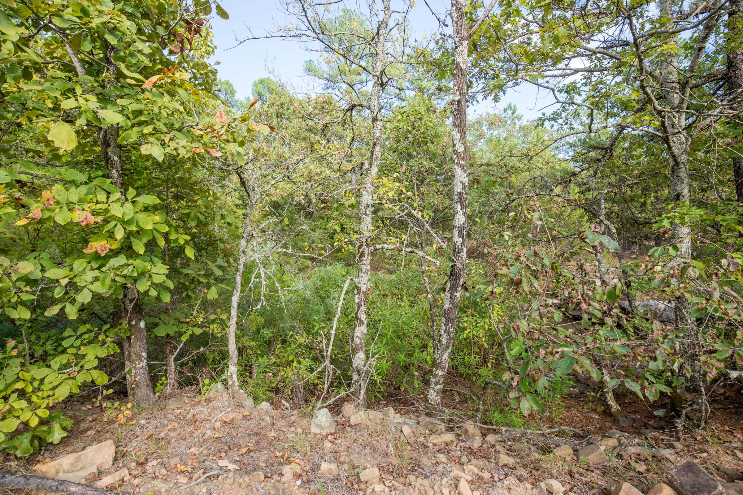 Stone Bridge Phase I Tract 63 photo 7