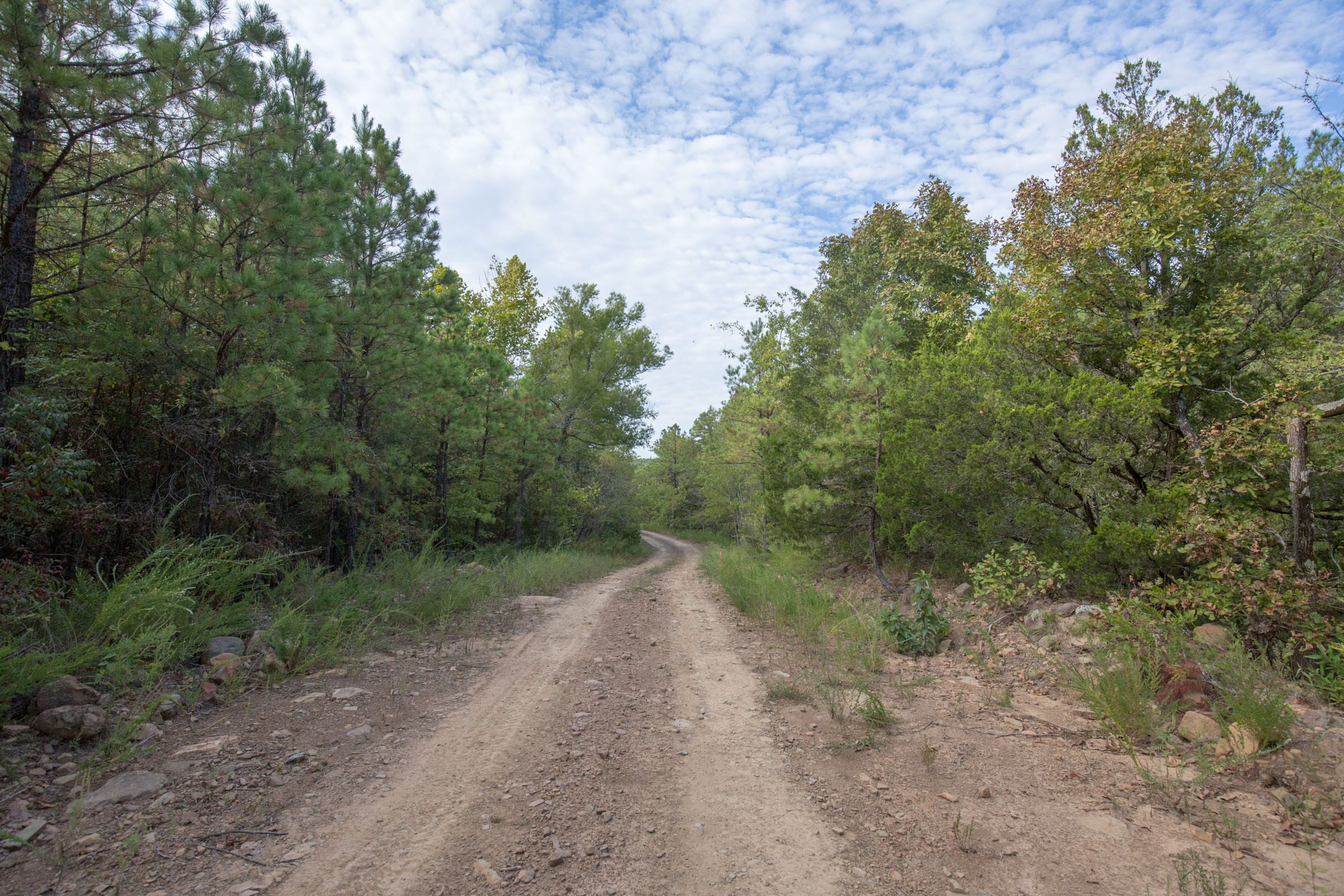 Stone Bridge Phase I Tract 63 photo 8