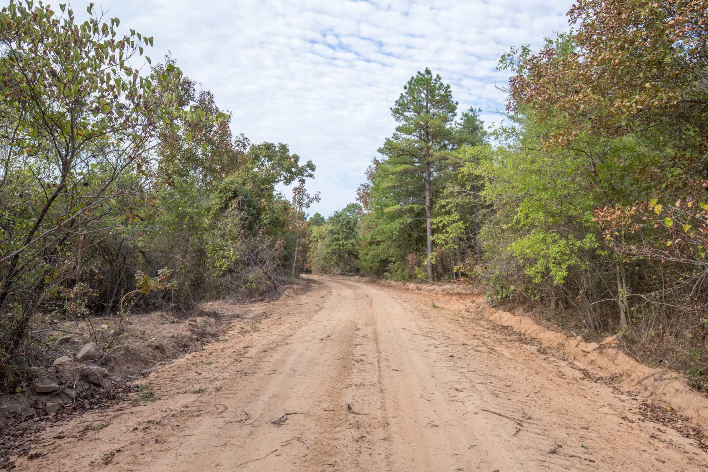 Stone Bridge Phase I Tract 63 photo 10
