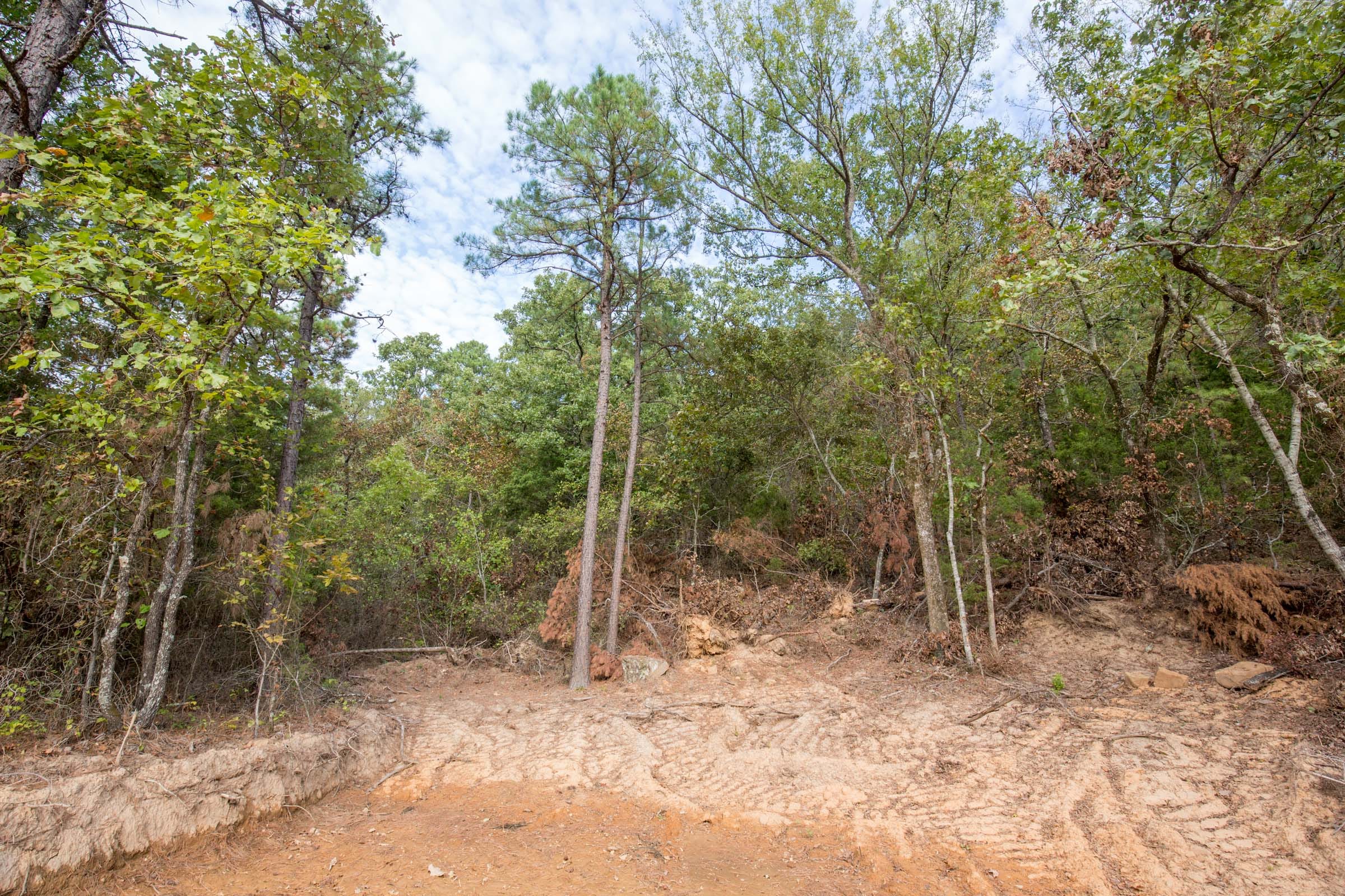 Stone Bridge Phase I Tract 63 photo 11