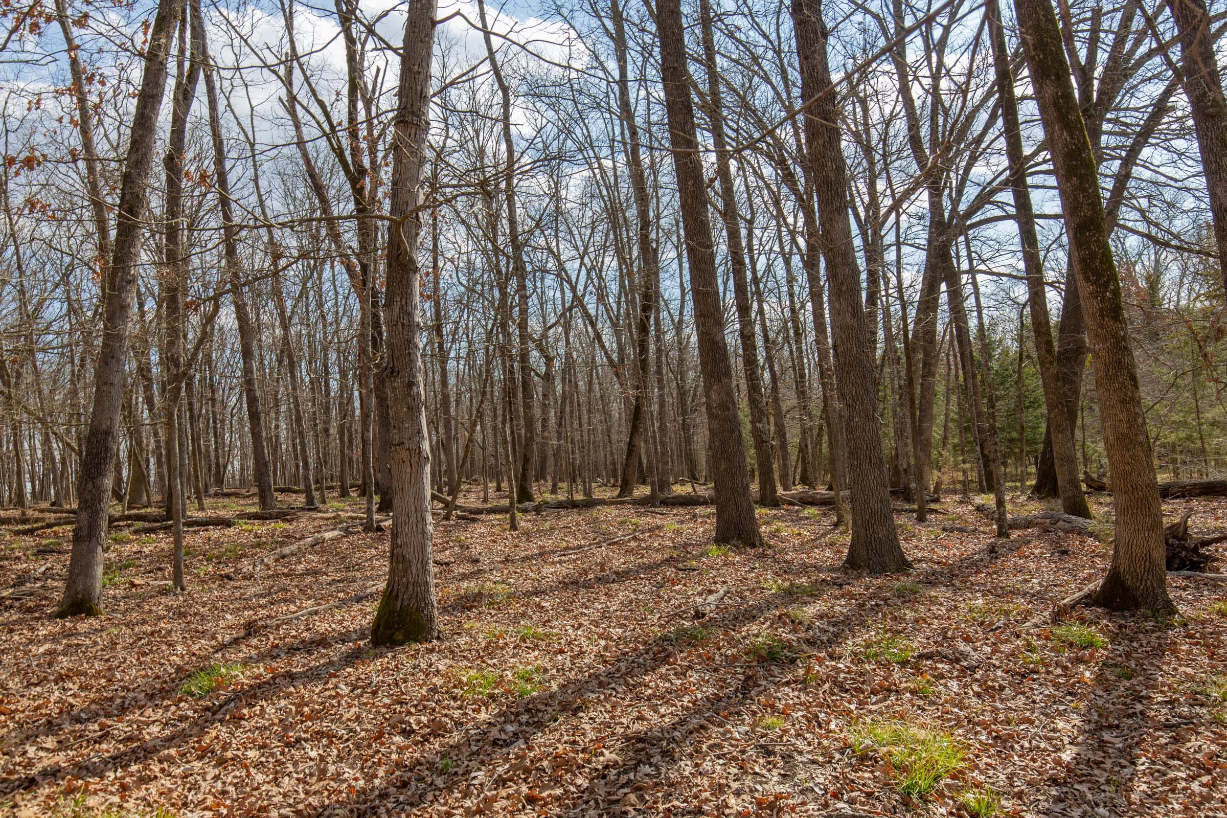 Wishing Star Ranch Tract 67 photo 6