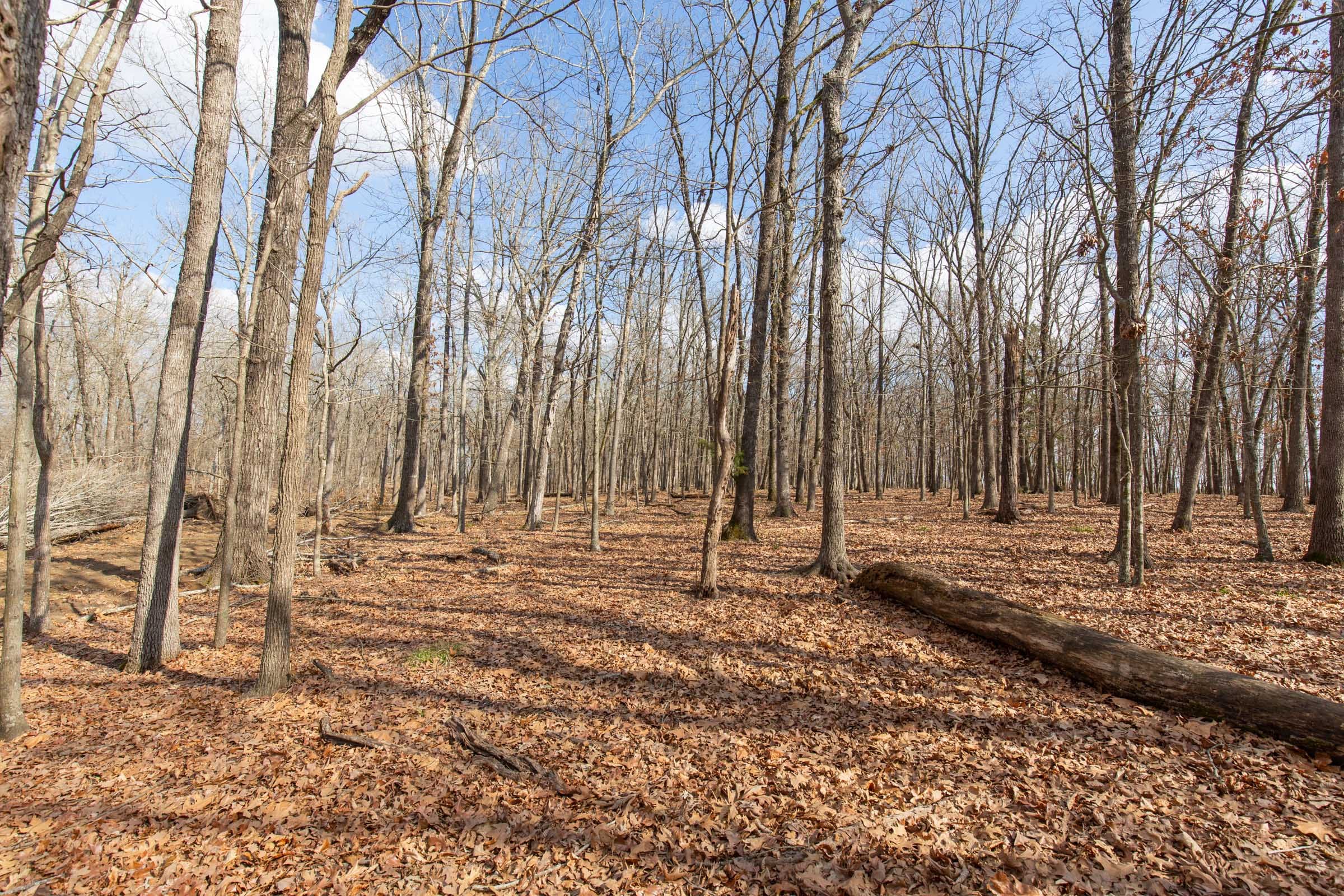 Wishing Star Ranch Tract 67 photo 8