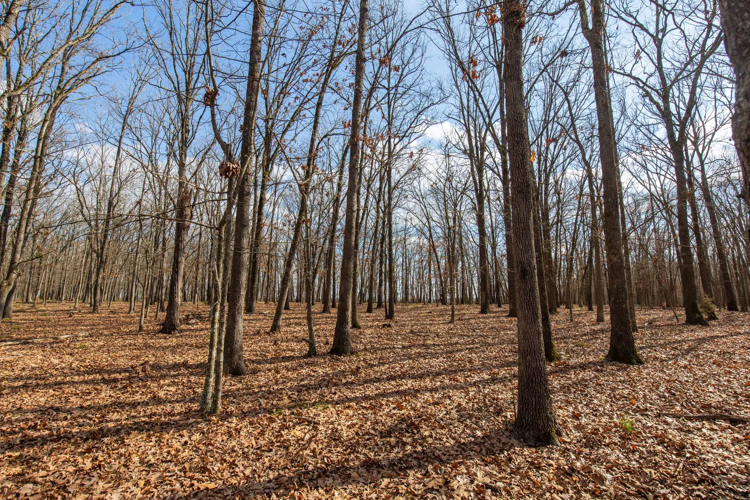 Wishing Star Ranch Tract 67 photo 10
