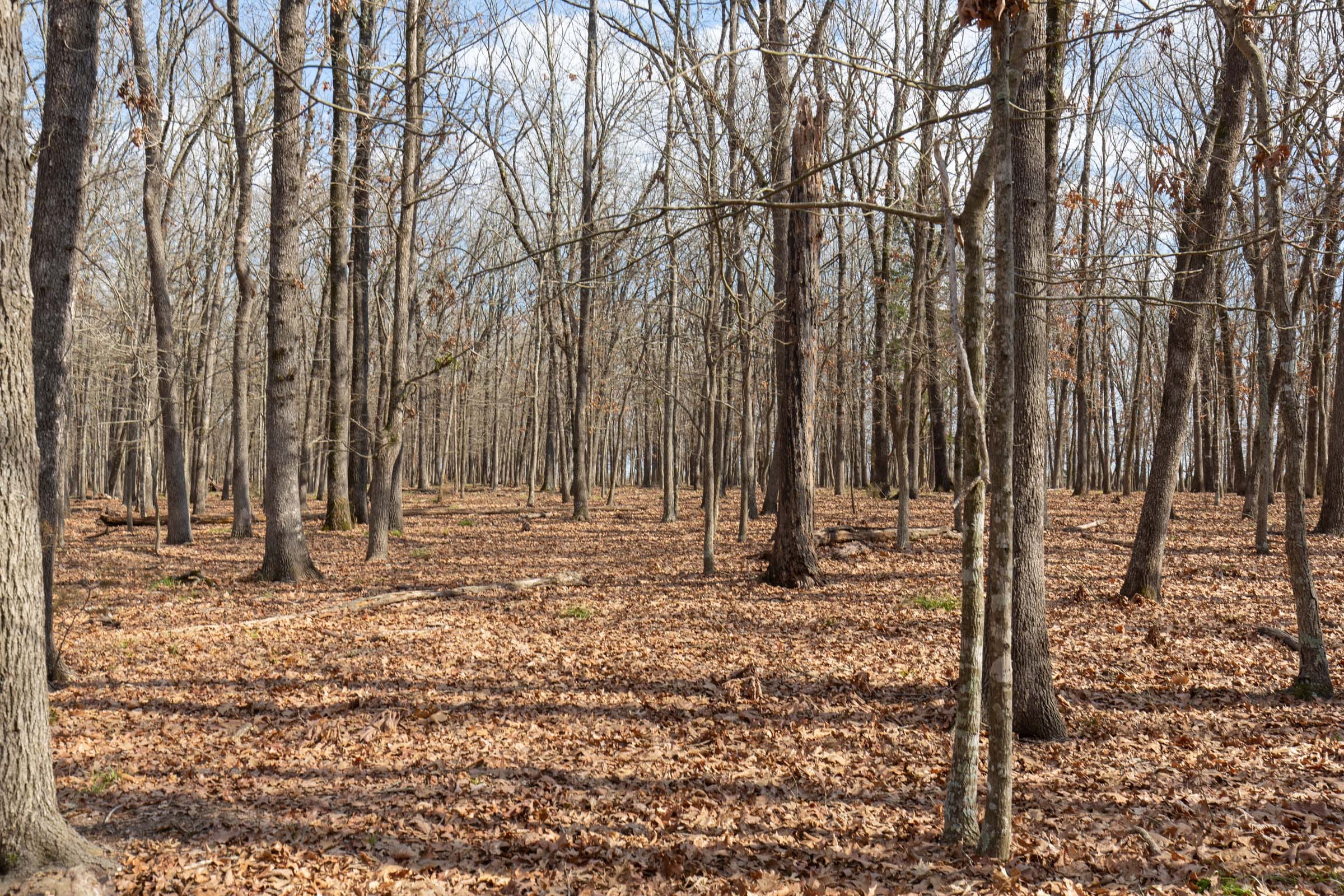 Wishing Star Ranch Tract 67 photo 11
