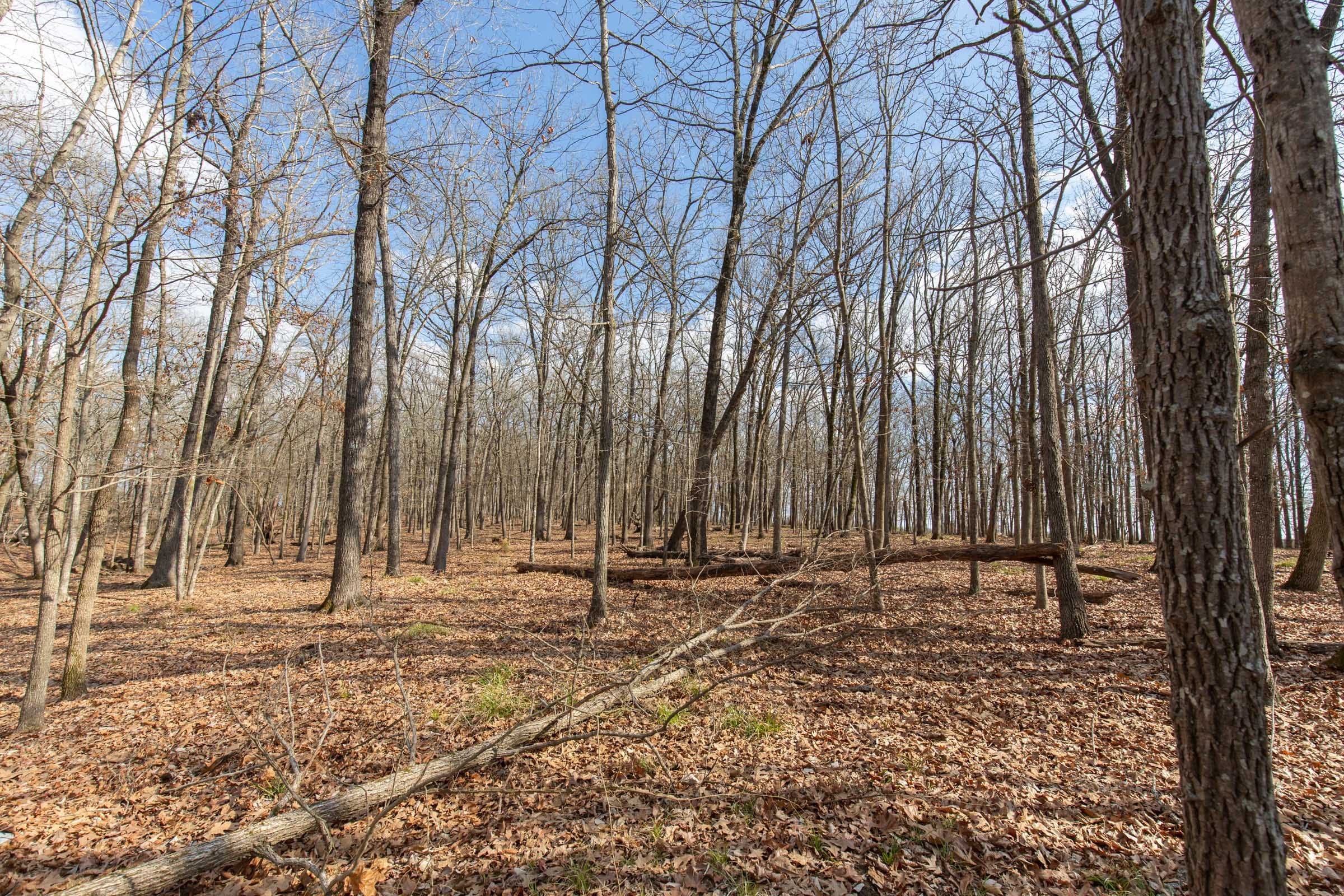 Wishing Star Ranch Tract 67 photo 12