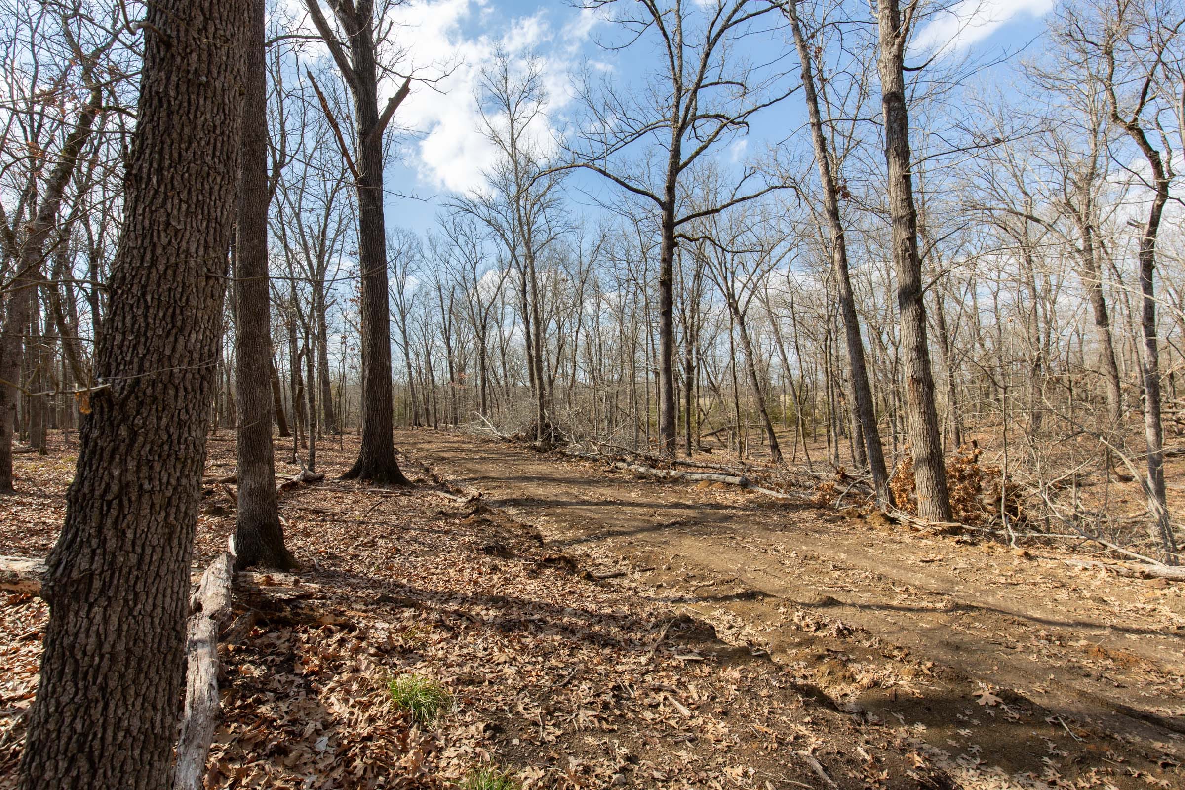 Wishing Star Ranch Tract 67 photo 13