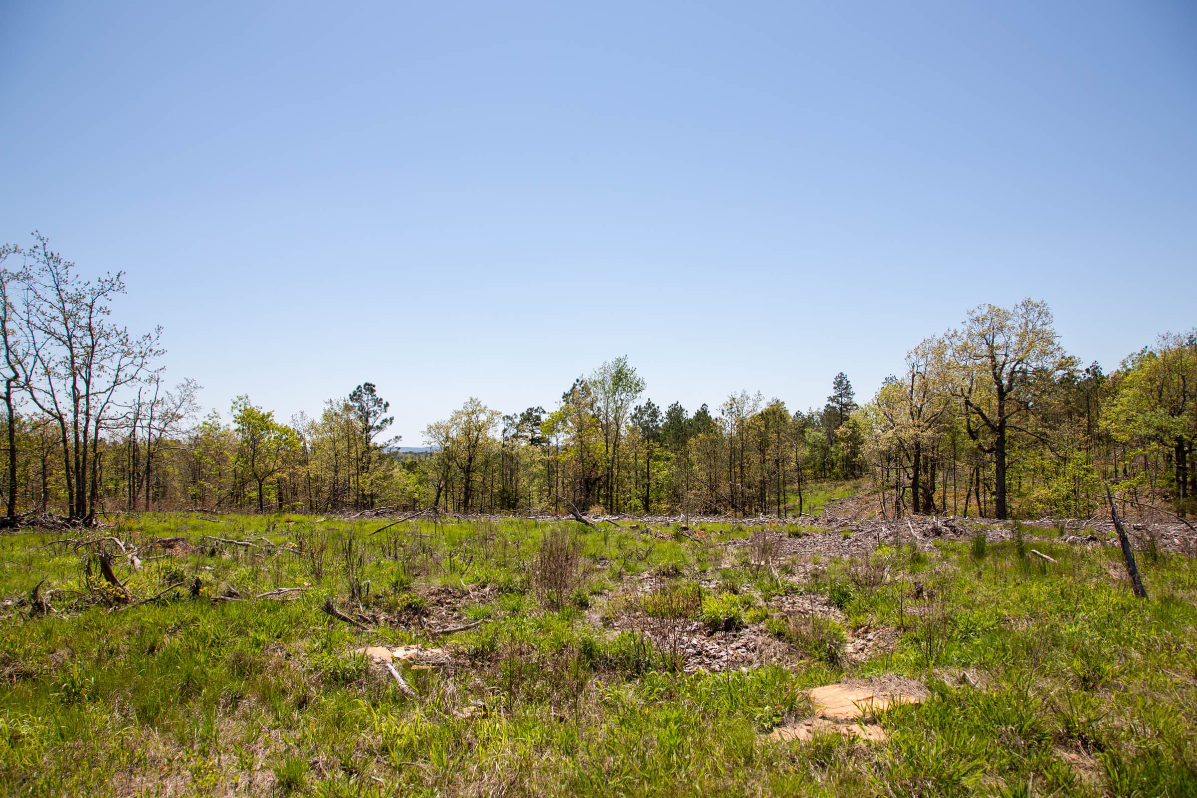 Eagle’s Nest Tract 2 photo 3