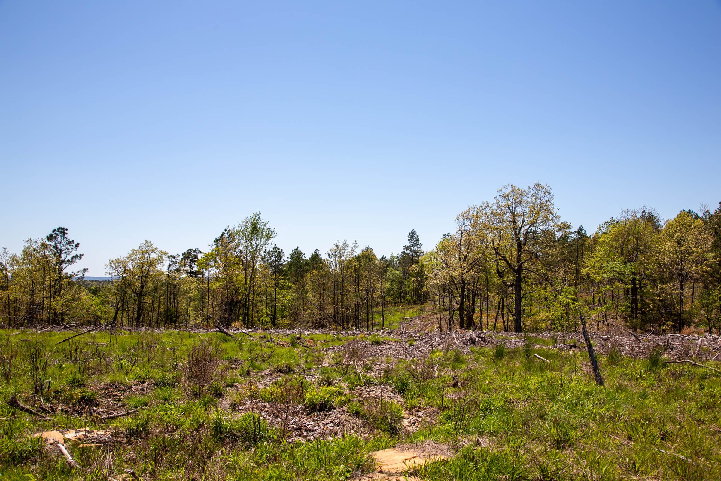 Eagle’s Nest Tract 2 photo 4