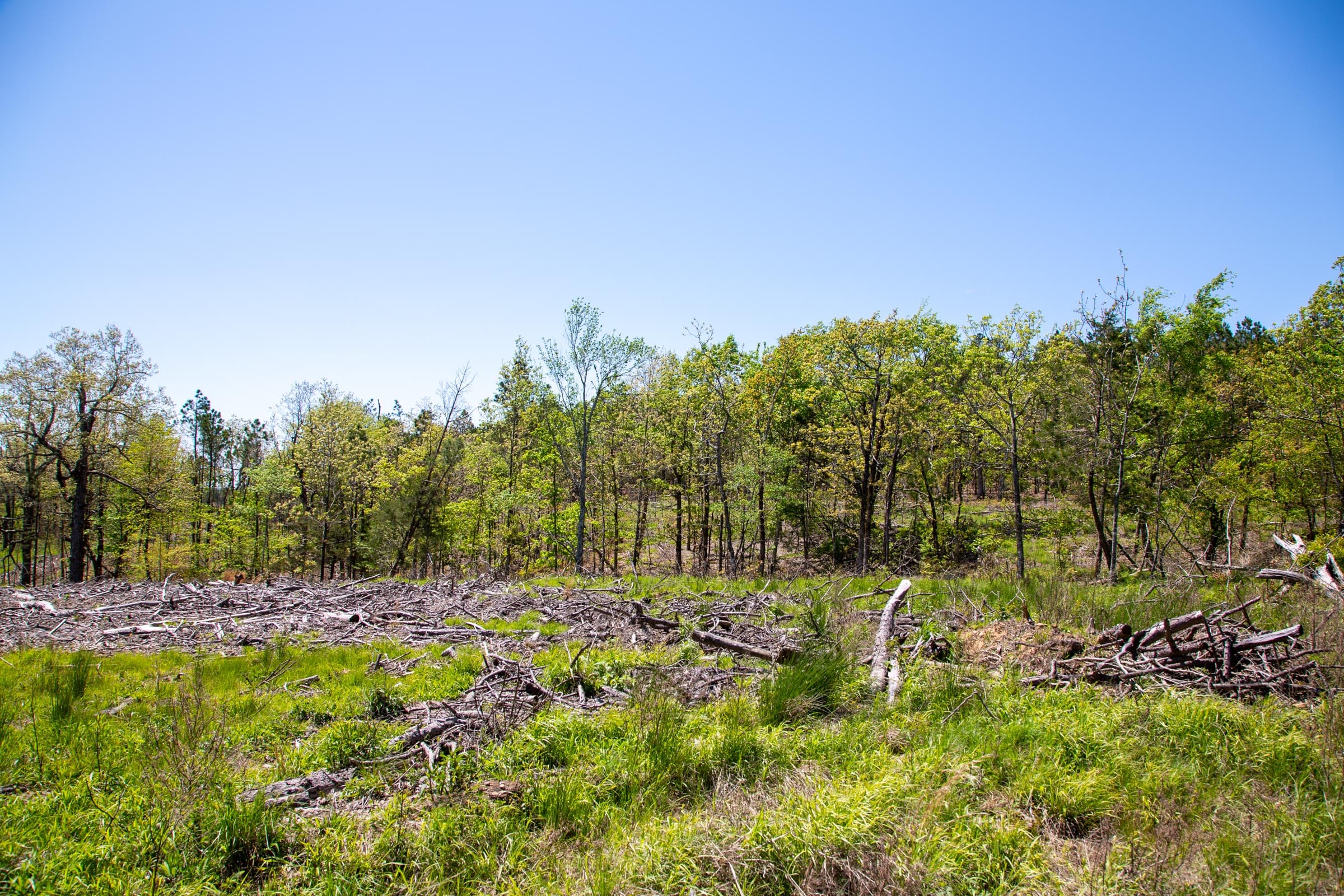 Eagle’s Nest Tract 2 photo 5
