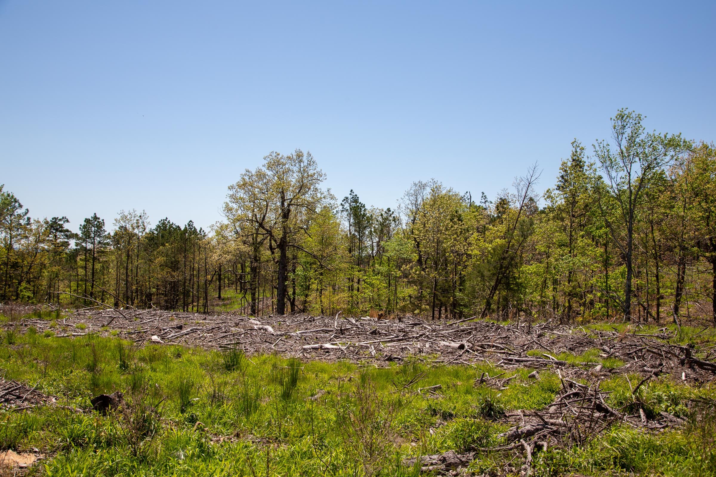 Eagle’s Nest Tract 2 photo 6
