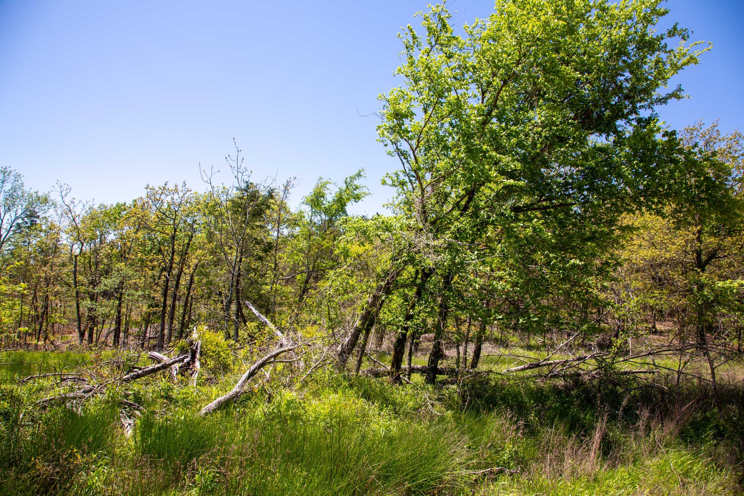 Eagle’s Nest Tract 2 photo 7