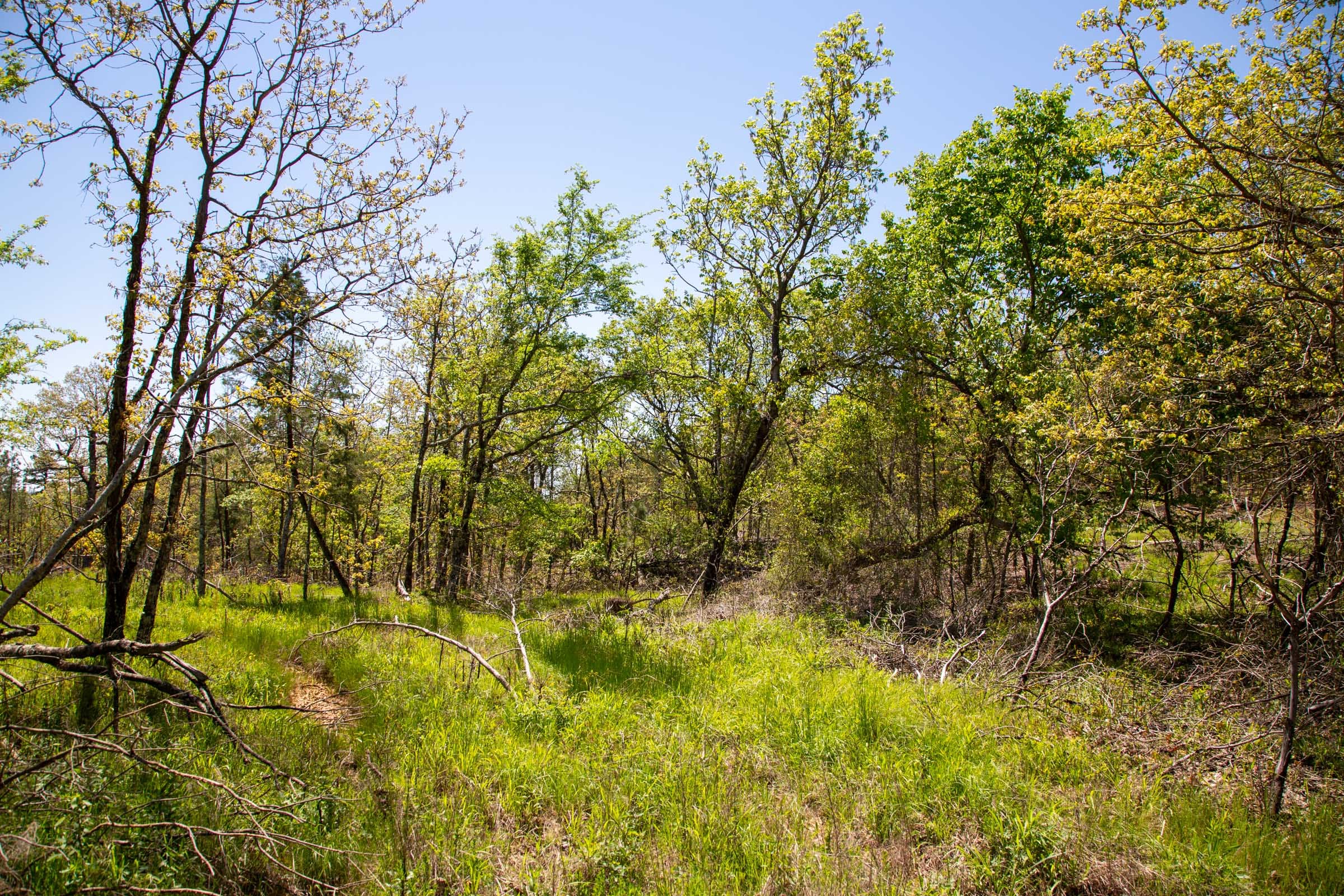 Eagle’s Nest Tract 2 photo 8